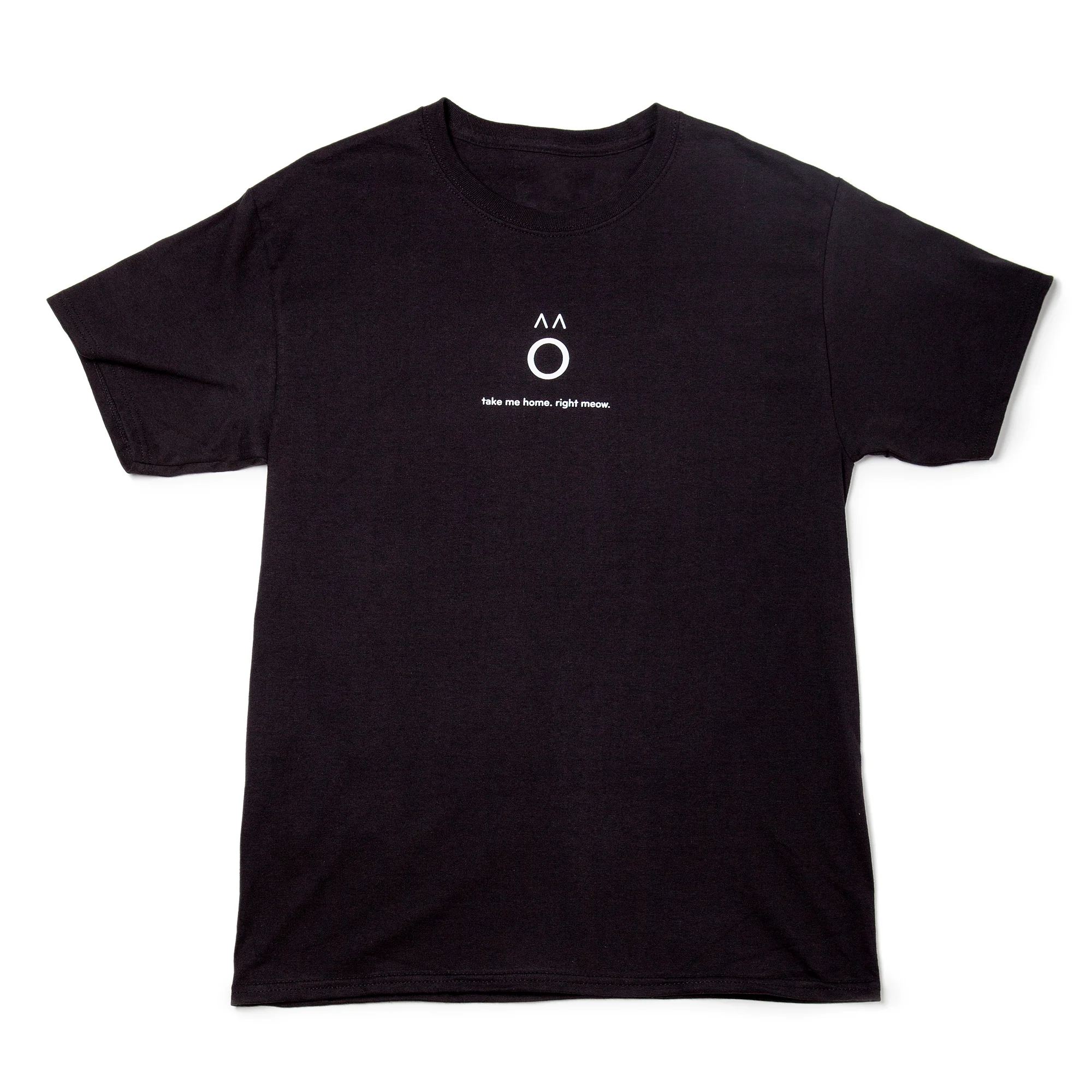 TAKEMEHOME-tshirt-black.jpg