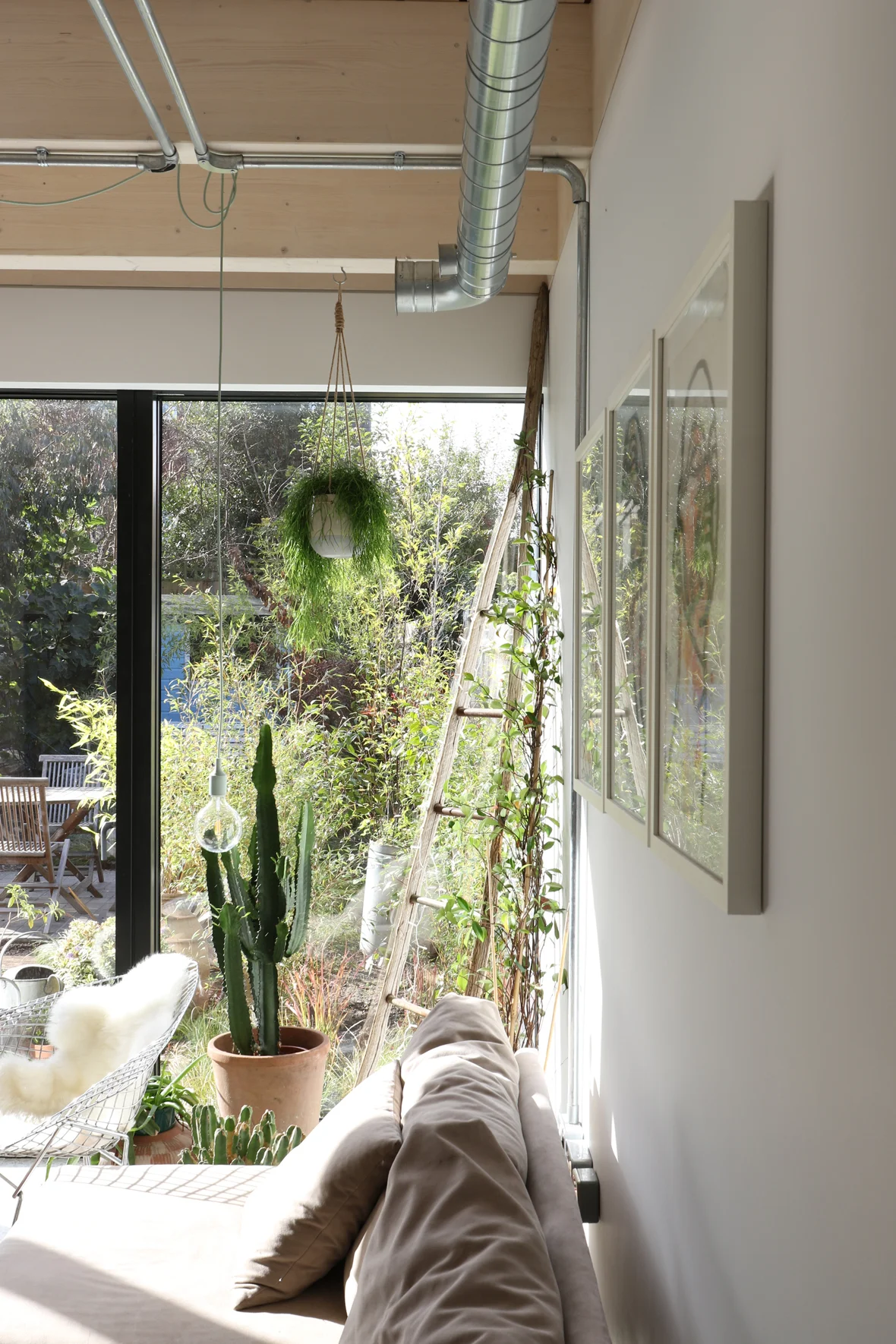 New House - Forest Hill