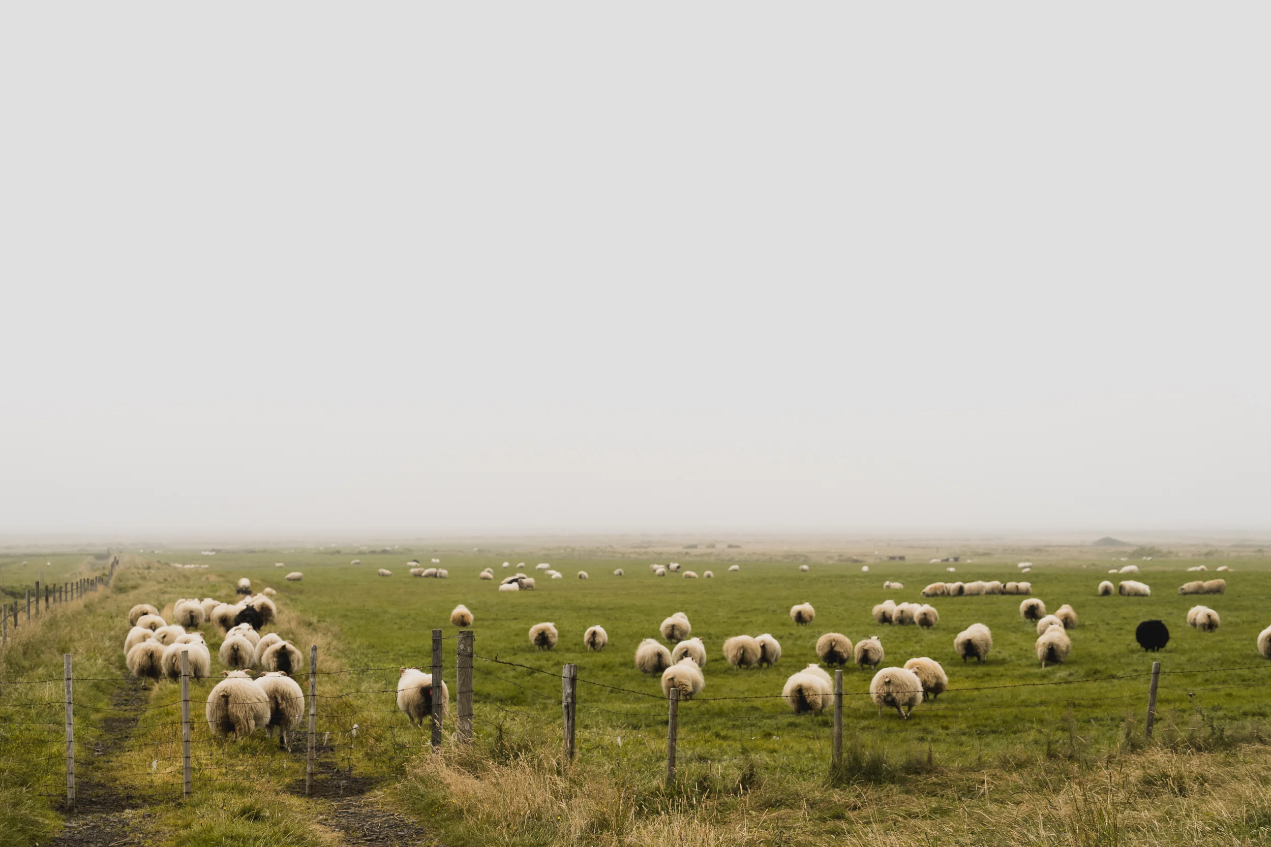 Iceland - 00037 - Chris Goetchius 2017 - WEB UPLOAD ONLY.jpg