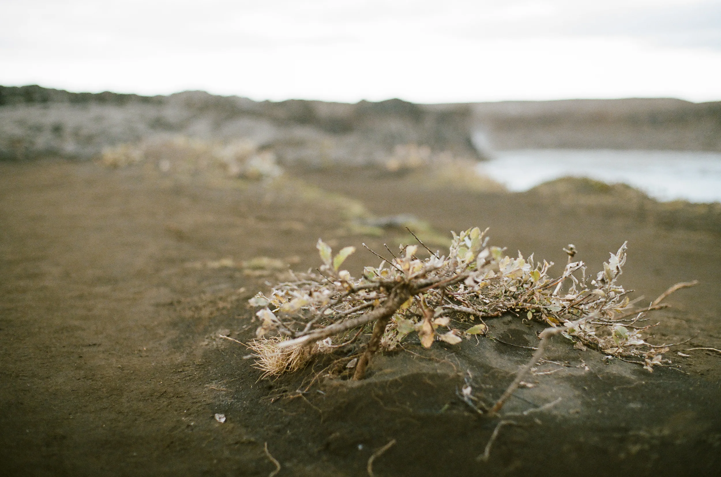 Iceland - 00153 - Chris Goetchius 2017 - WEB UPLOAD ONLY-2.jpg