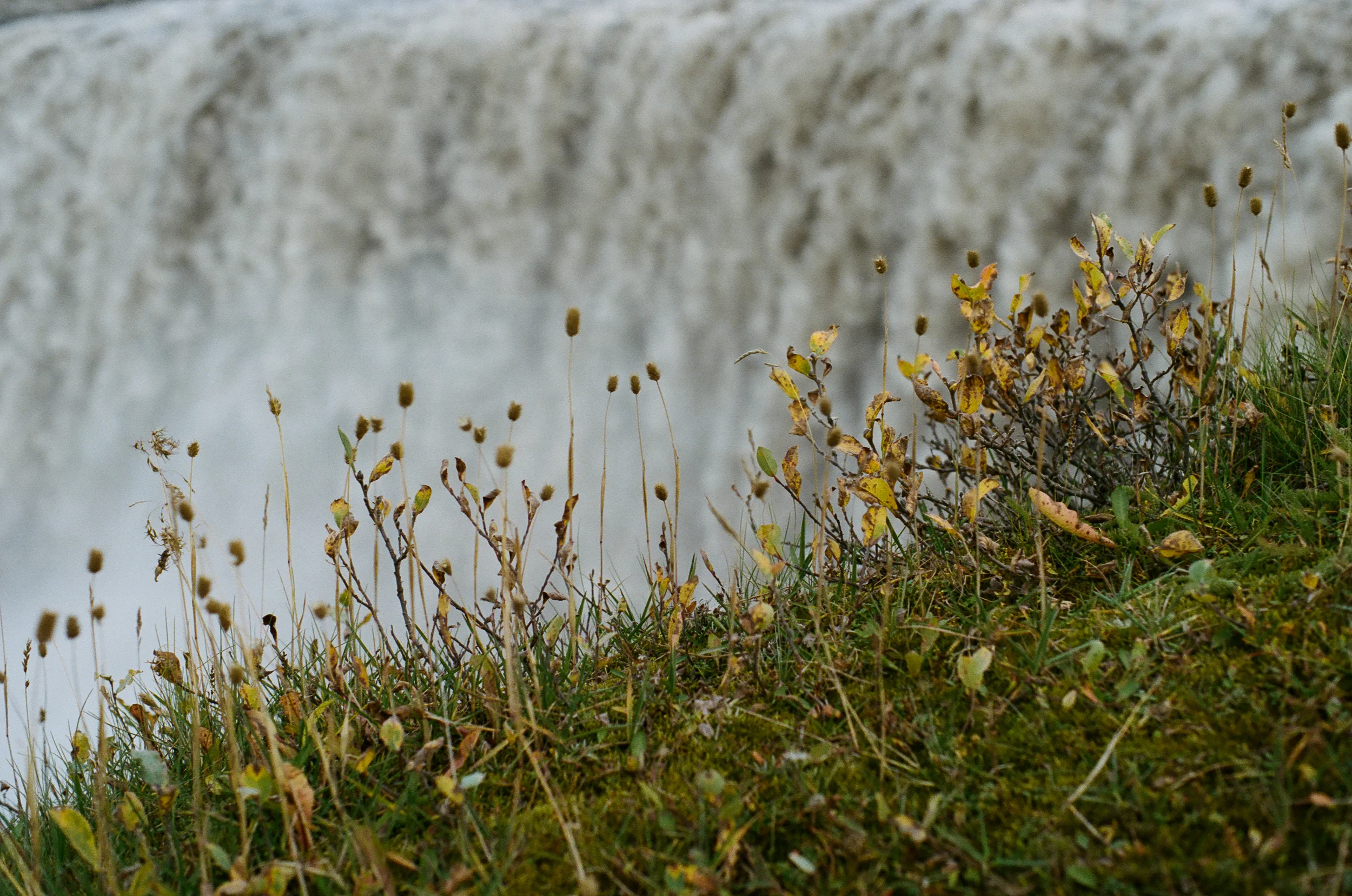 Iceland - 00158 - Chris Goetchius 2017 - WEB UPLOAD ONLY.jpg