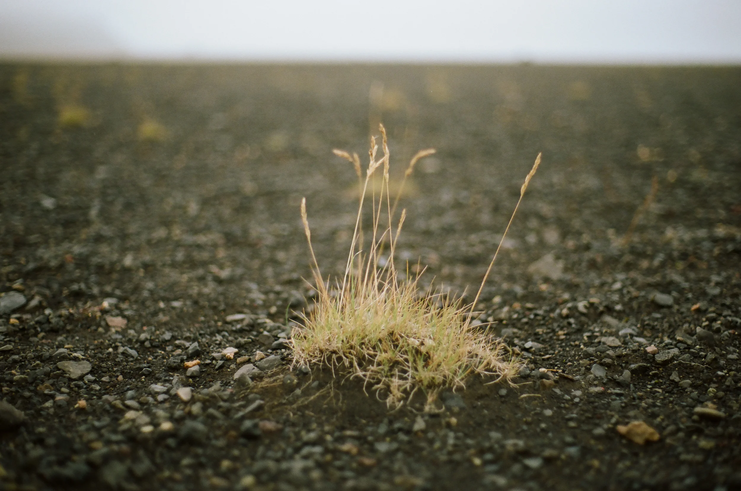 Iceland - 00237 - Chris Goetchius 2017 - WEB UPLOAD ONLY.jpg