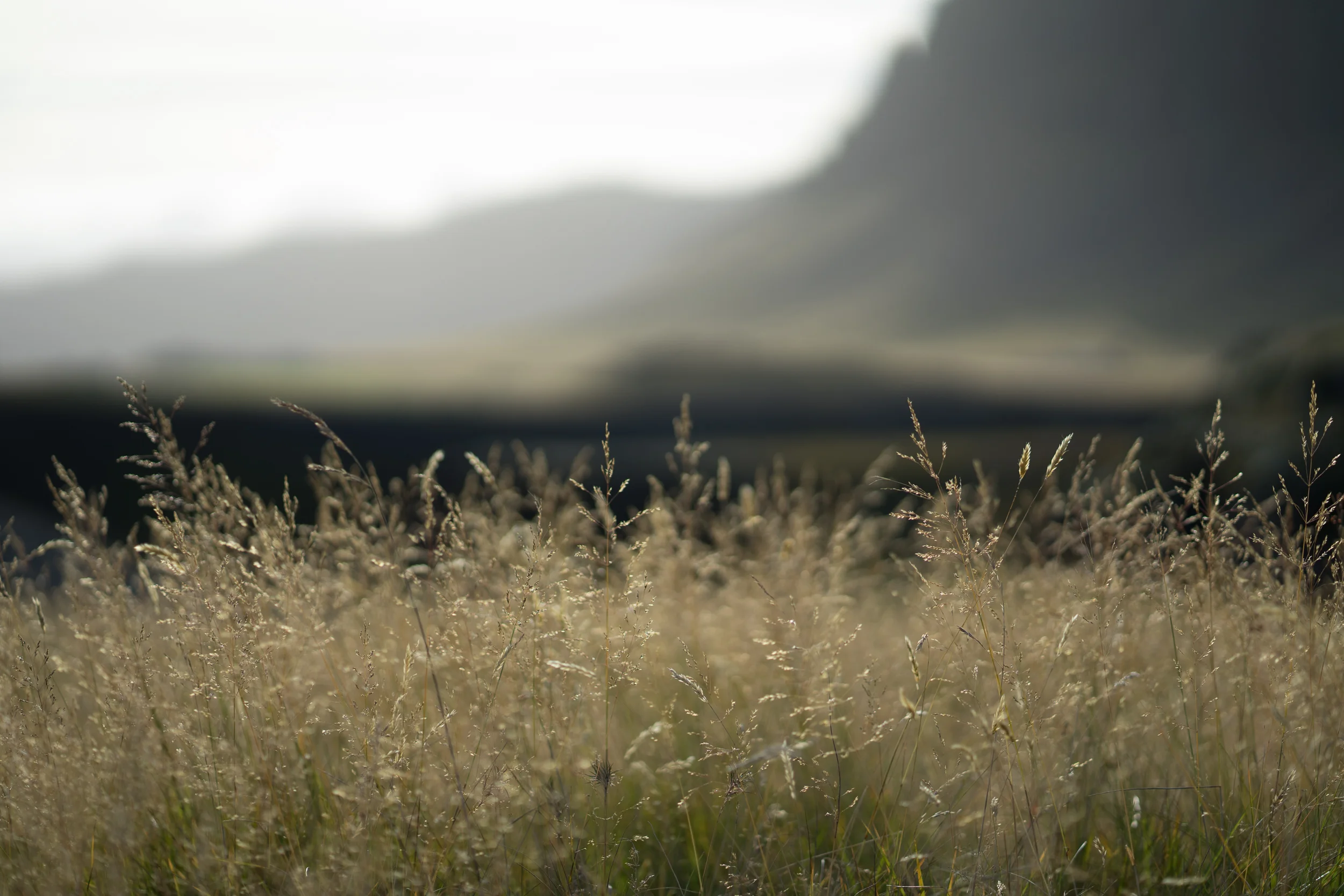 Iceland - 00250 - Chris Goetchius 2017 - WEB UPLOAD ONLY.jpg