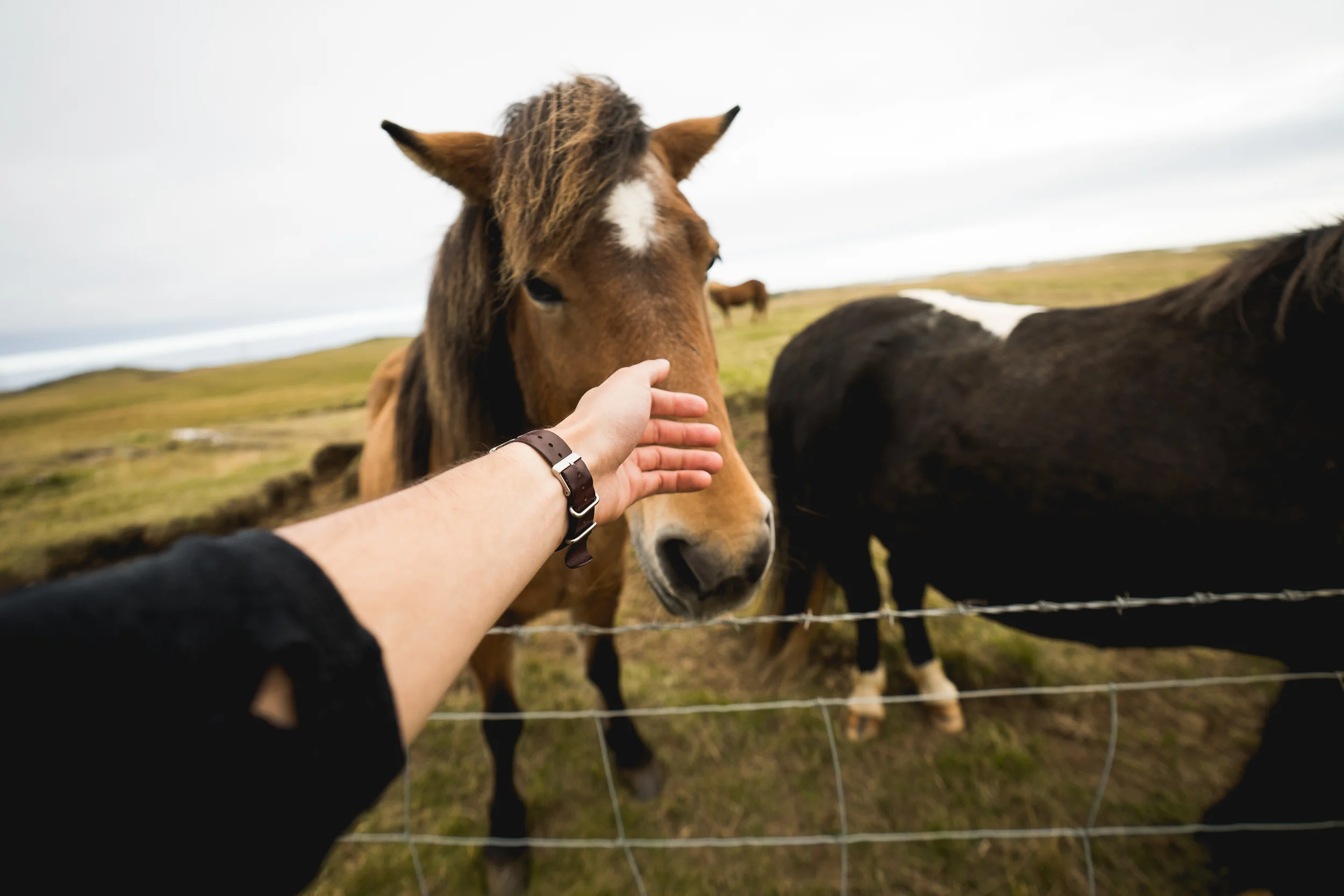 Iceland - 00256 - Chris Goetchius 2017 - WEB UPLOAD ONLY.jpg