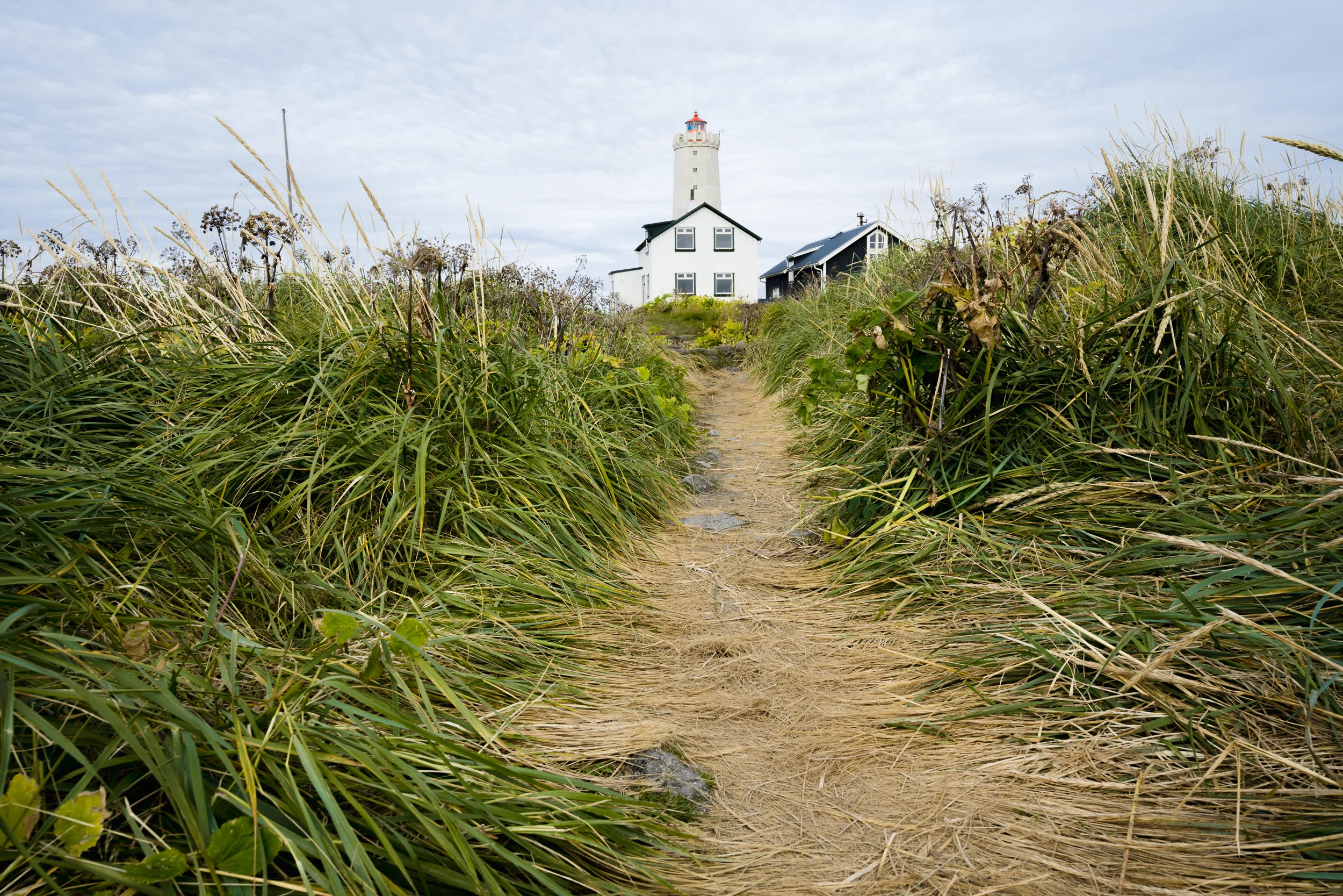 Iceland - 00381 - Chris Goetchius 2017 - WEB UPLOAD ONLY.jpg
