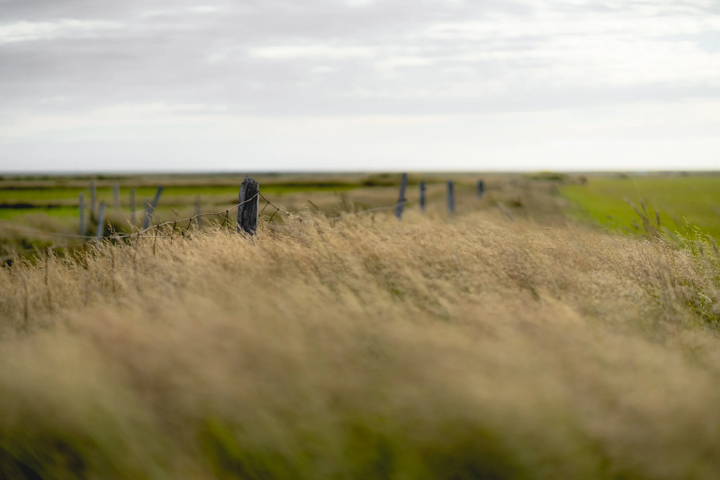 Iceland - 00494 - Chris Goetchius 2017 - WEB UPLOAD ONLY.jpg