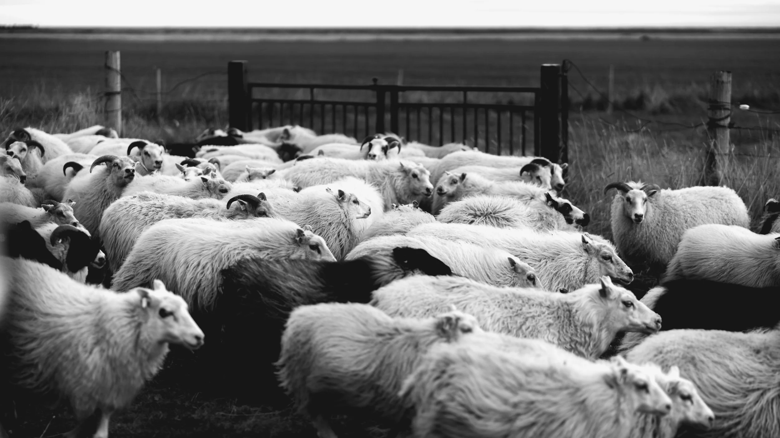 Iceland - 00523 - Chris Goetchius 2017 - WEB UPLOAD ONLY.jpg