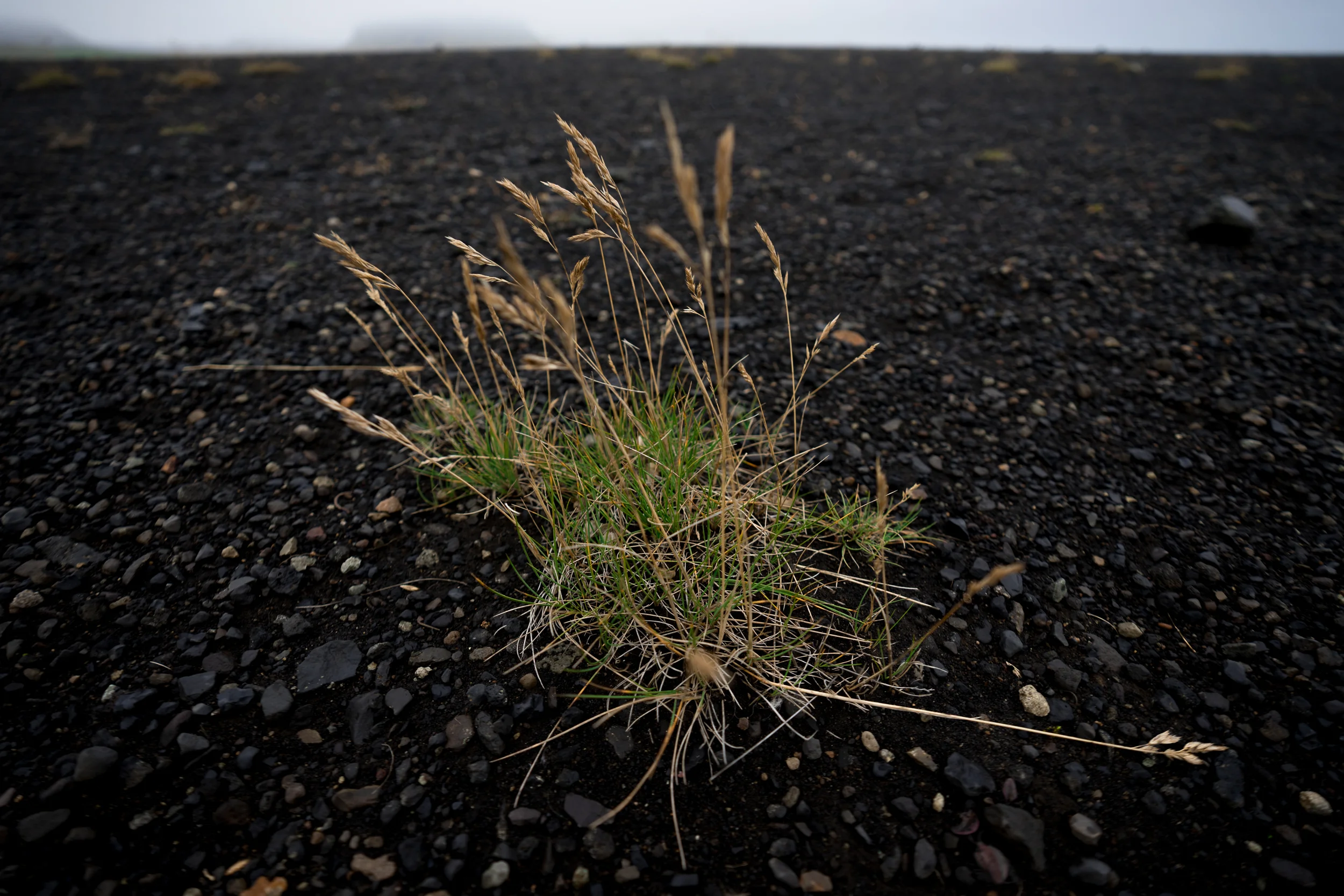Iceland - 00659 - Chris Goetchius 2017 - WEB UPLOAD ONLY.jpg