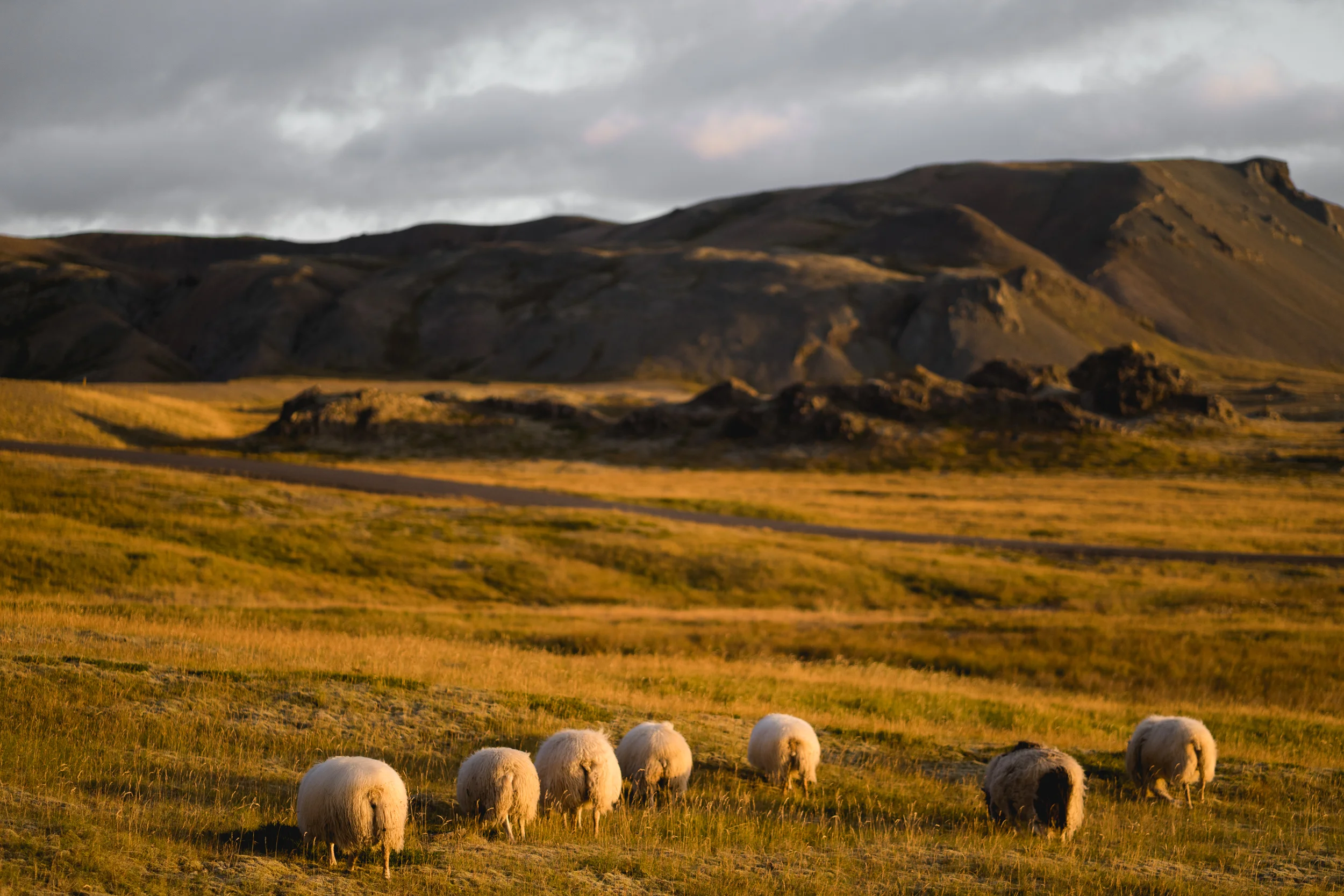 Iceland - 00699-2 - Chris Goetchius 2017 - WEB UPLOAD ONLY.jpg