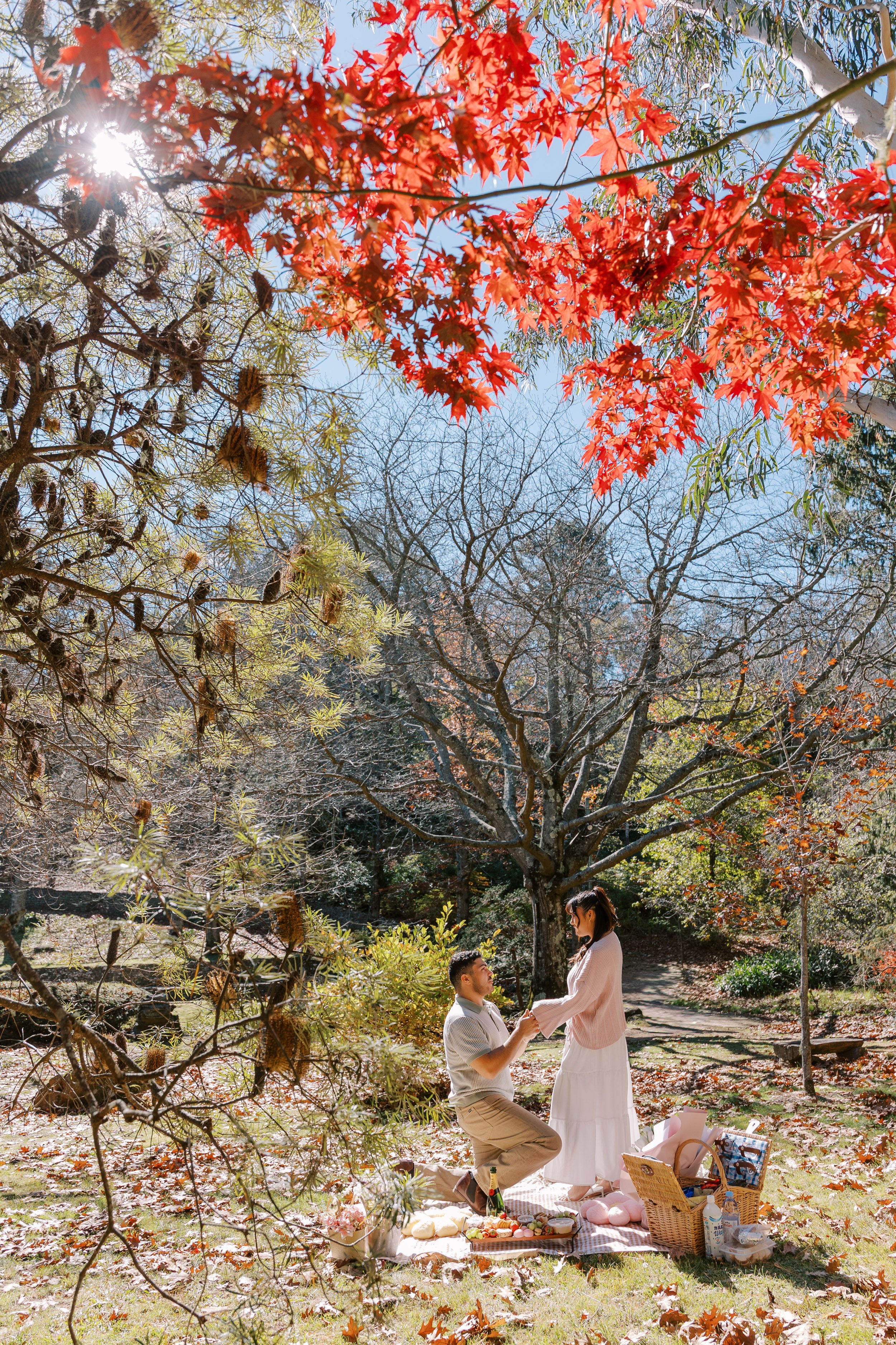 Surprise Proposal at Everglades Garden