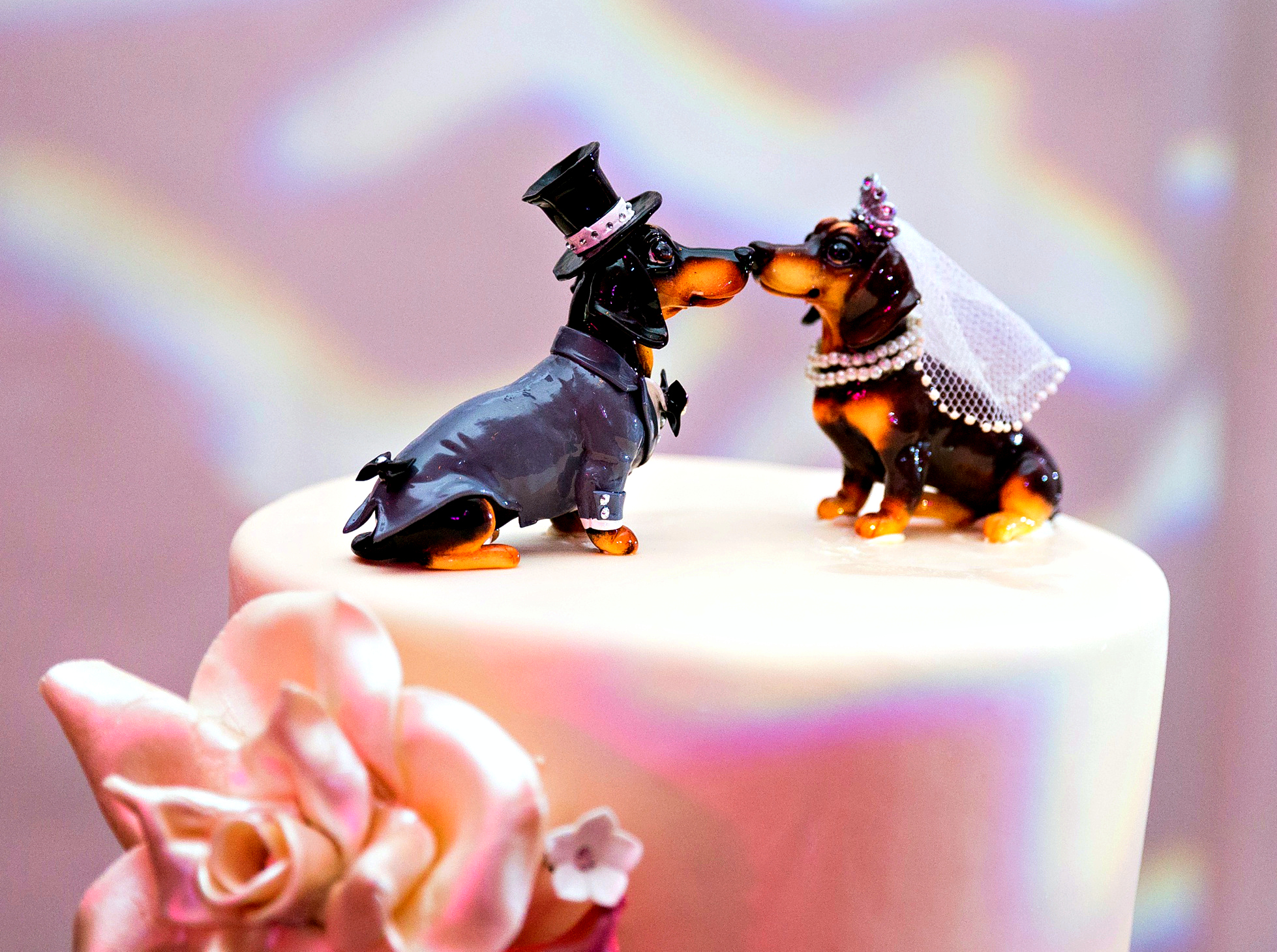 Dog Wedding Cake Topper | Marriott Singer Island Resort Wedding