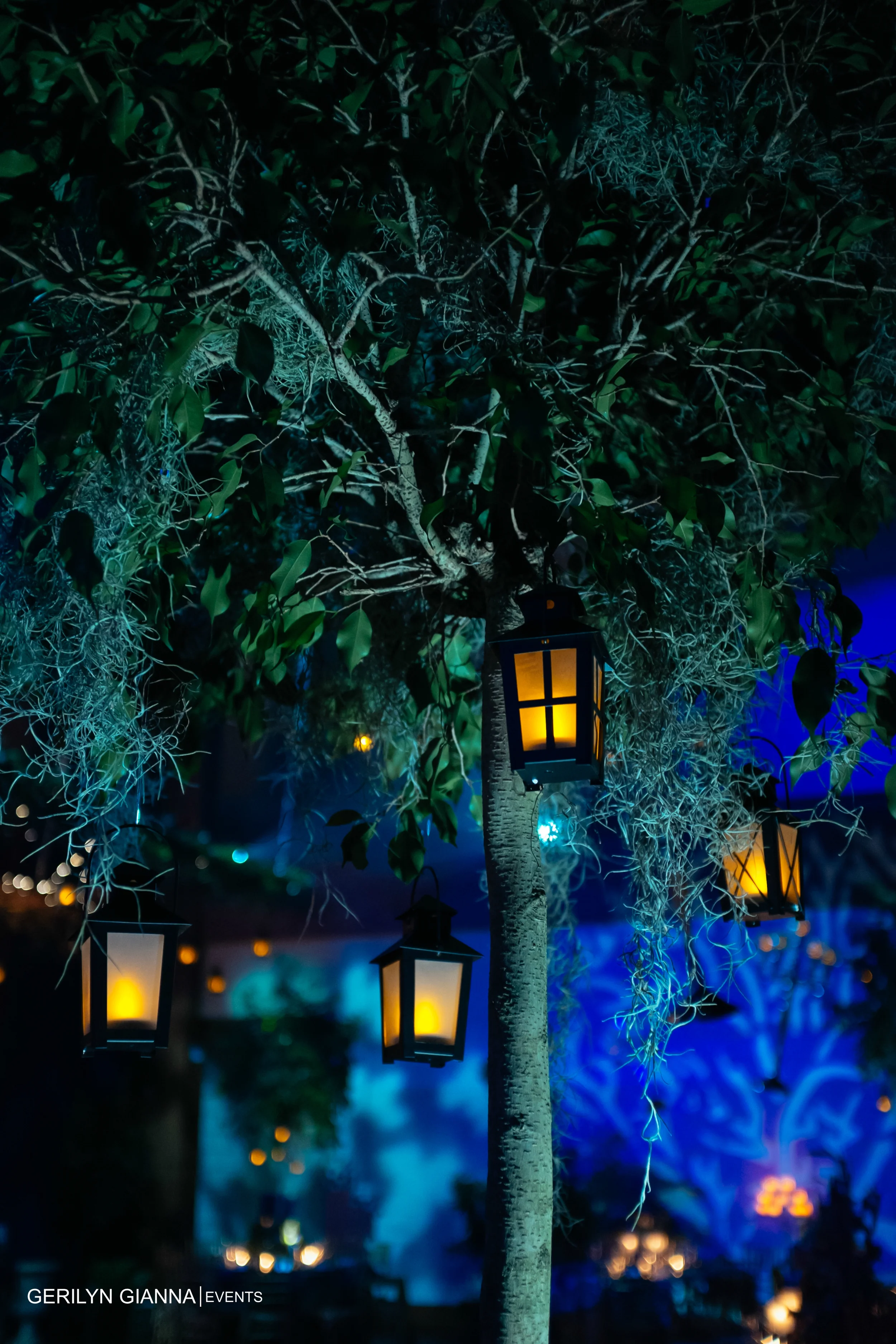 A Wedding with a Medieval Theme at The Borland Center for Performing Arts Wedding