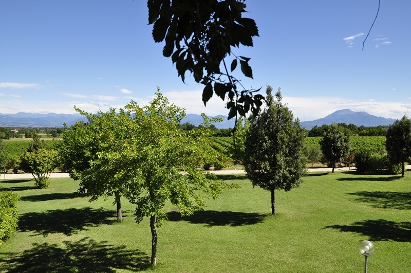 Agriturismo_Nocciolo (3).jpg