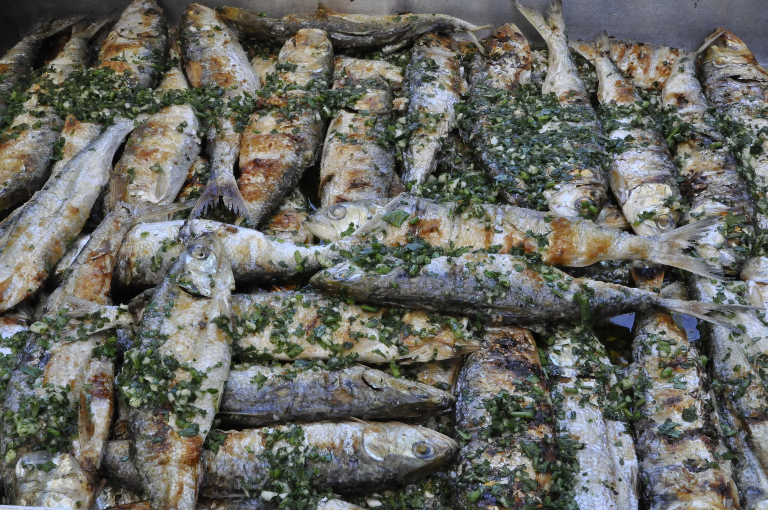 La Sardinata della Capuzza