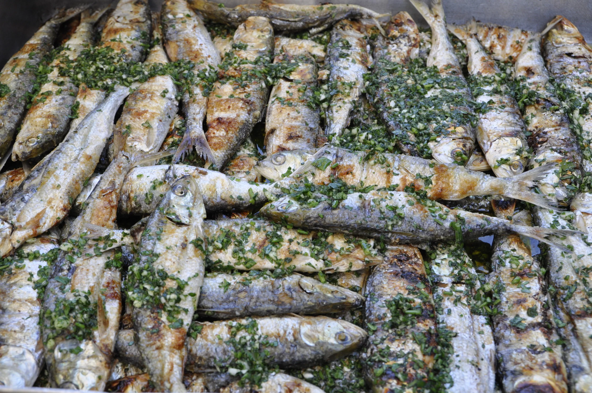 La sardinata della Capuzza, con i pescatori di Desenzano a cena