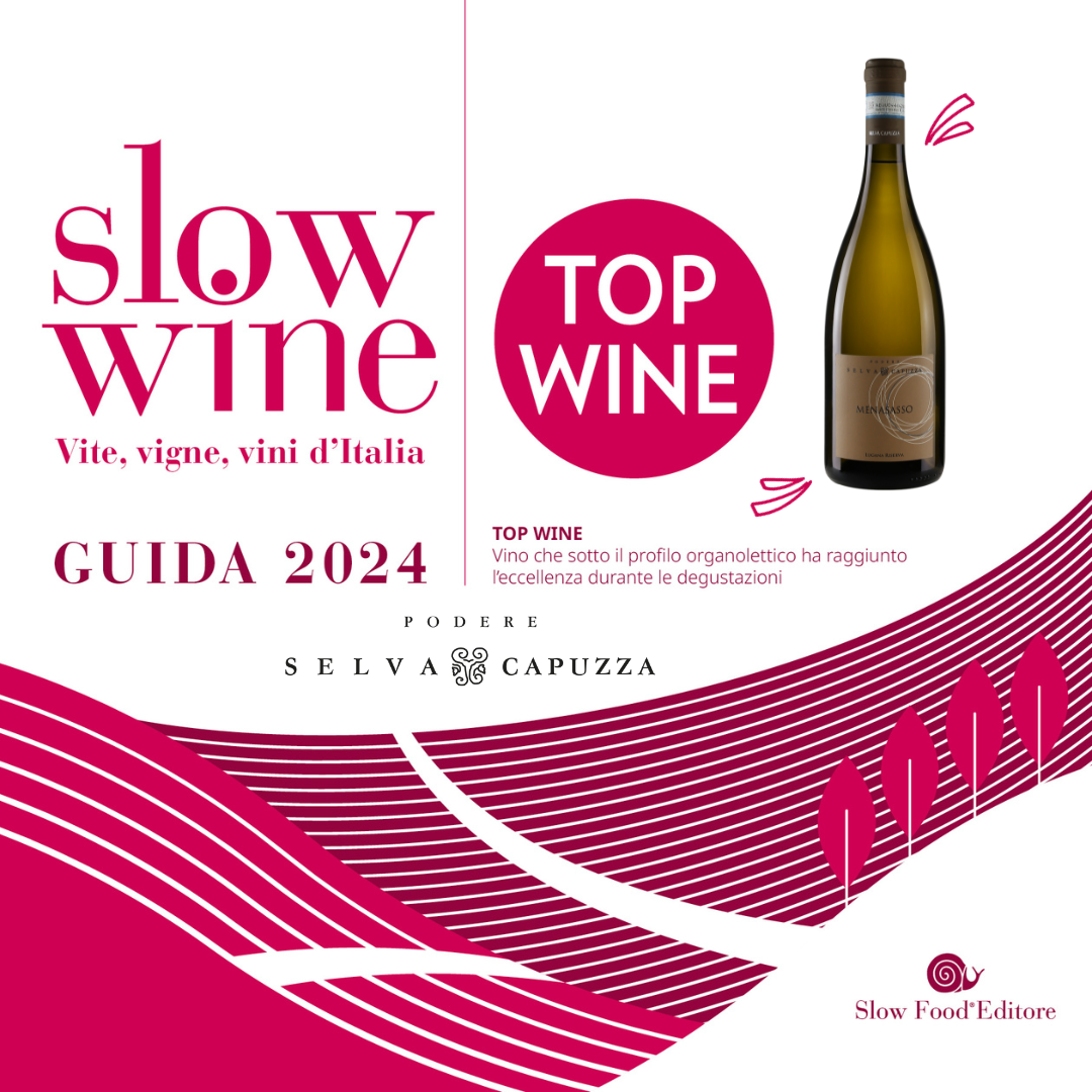 Slow Wine 2024.png