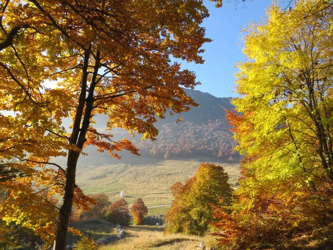 Cosa fare sul Lago di Garda in autunno: idee per un weekend tra vino, relax e borghi 