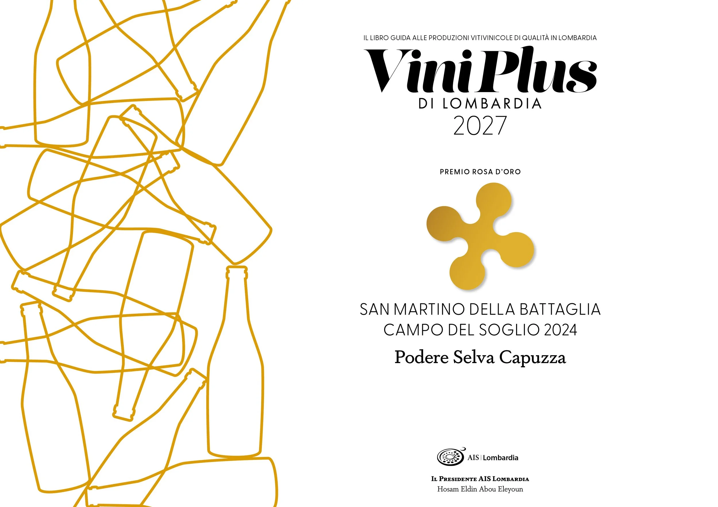 Ais Lombardia Viniplus 2027