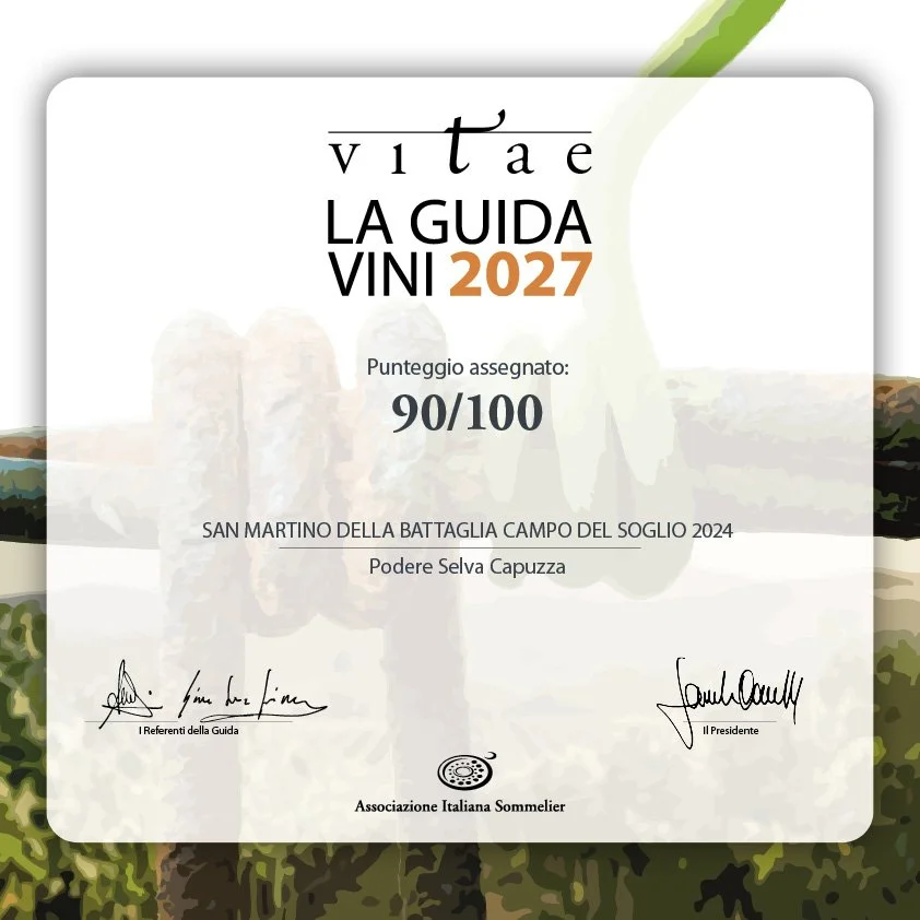 Ais Vitae 2027