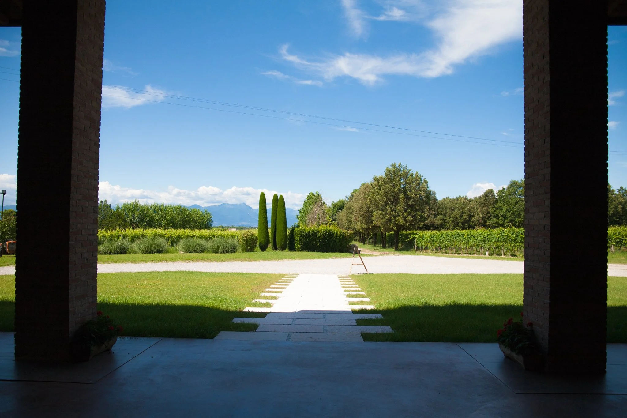 Selva (1 of 1)-4.jpg