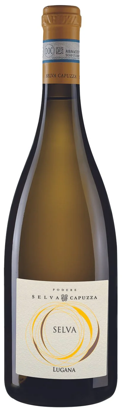 02 - SELVA CAPUZZA -Lugana - Selva nuova ok.jpg