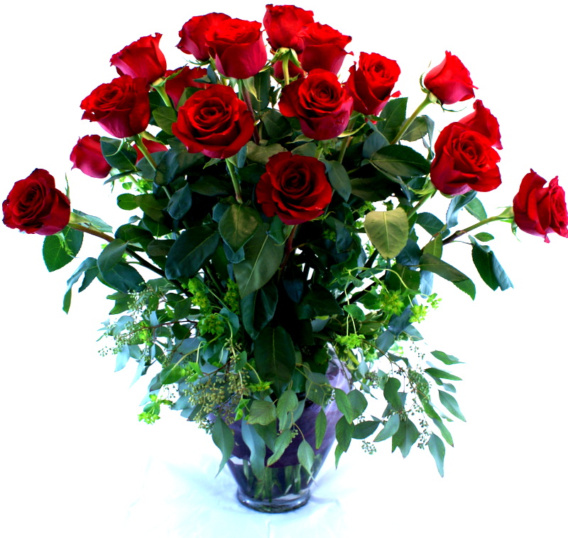 Premium Red Rose — Jane's Blue Iris Ltd.