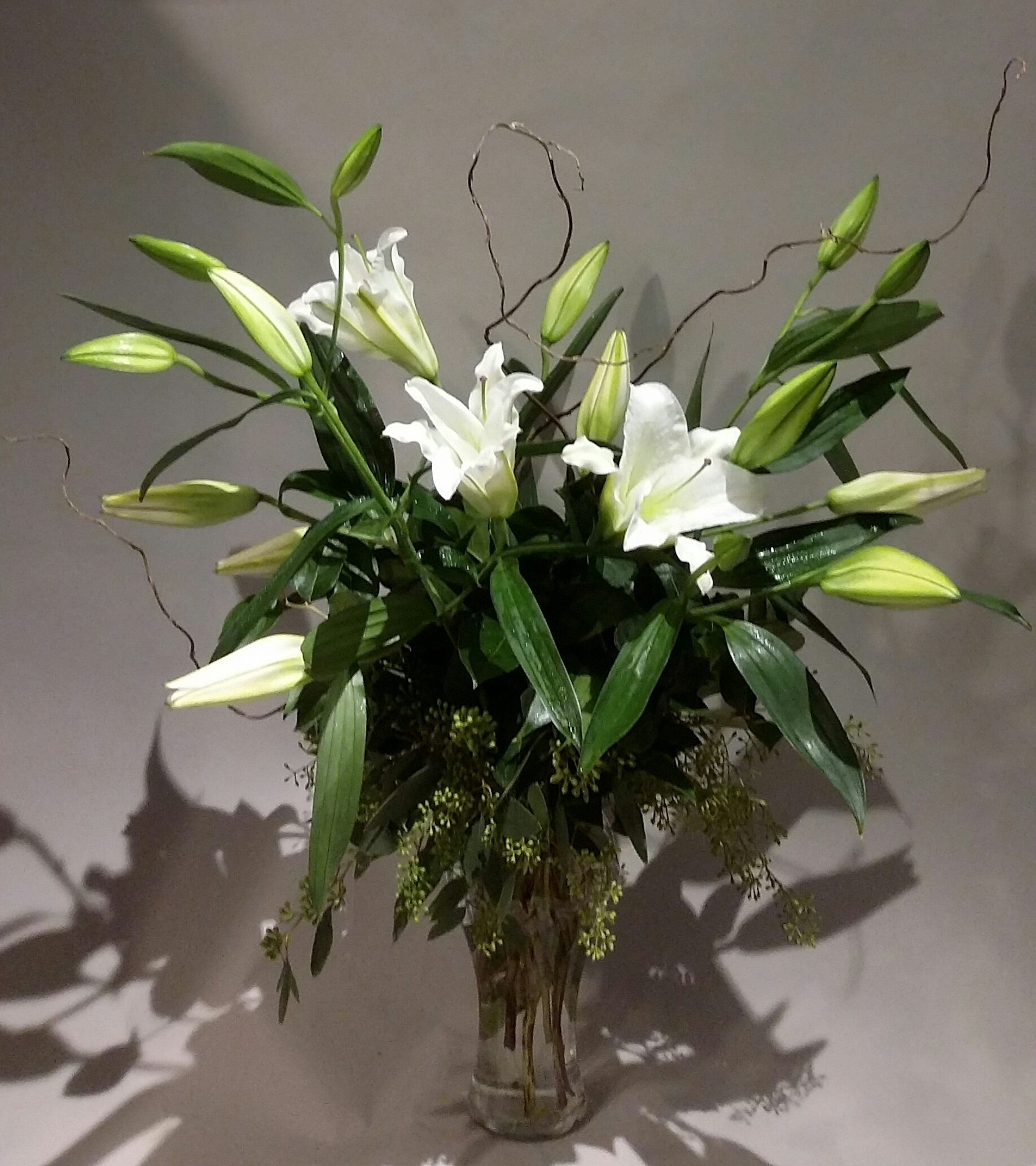 20170216_100125-1.jpg