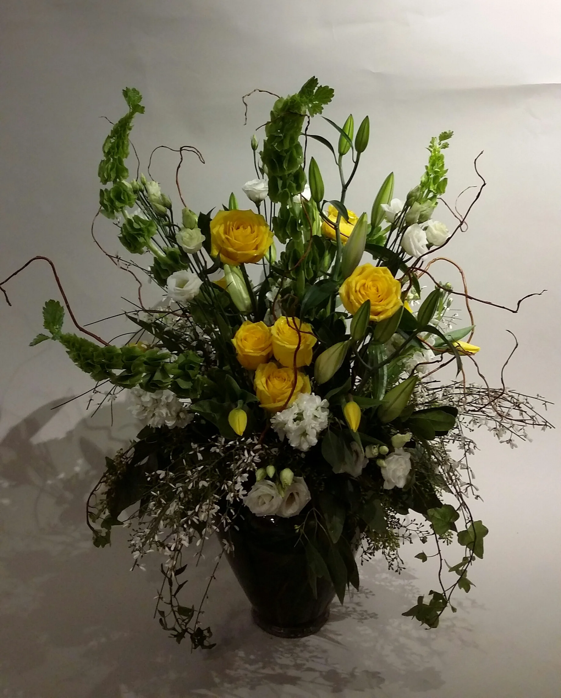 20170302_120426-1.jpg