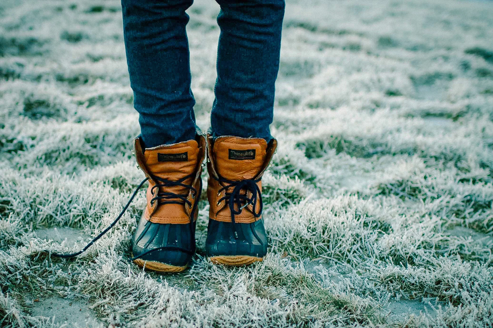 a frosty day