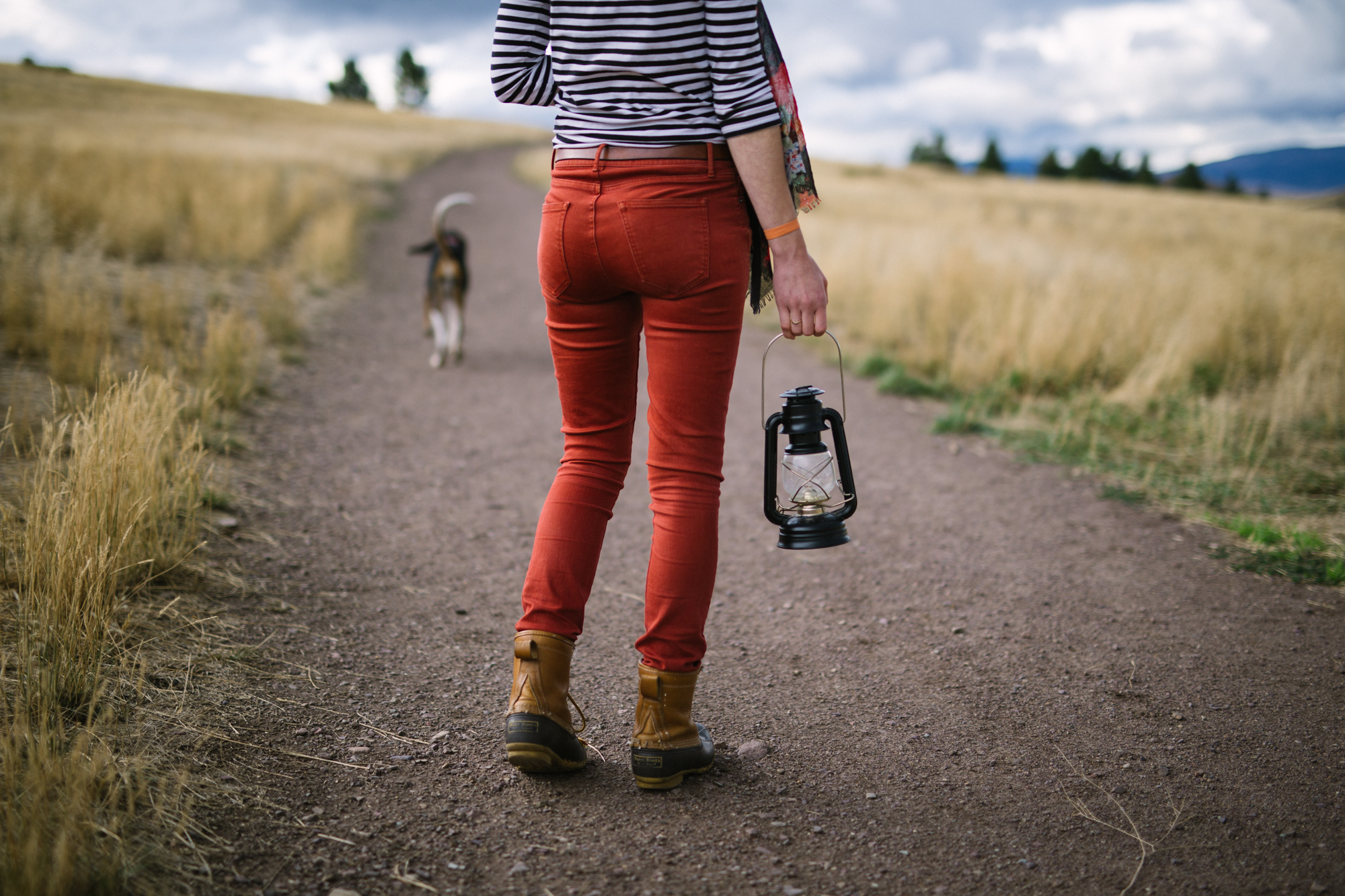 the wanderer.