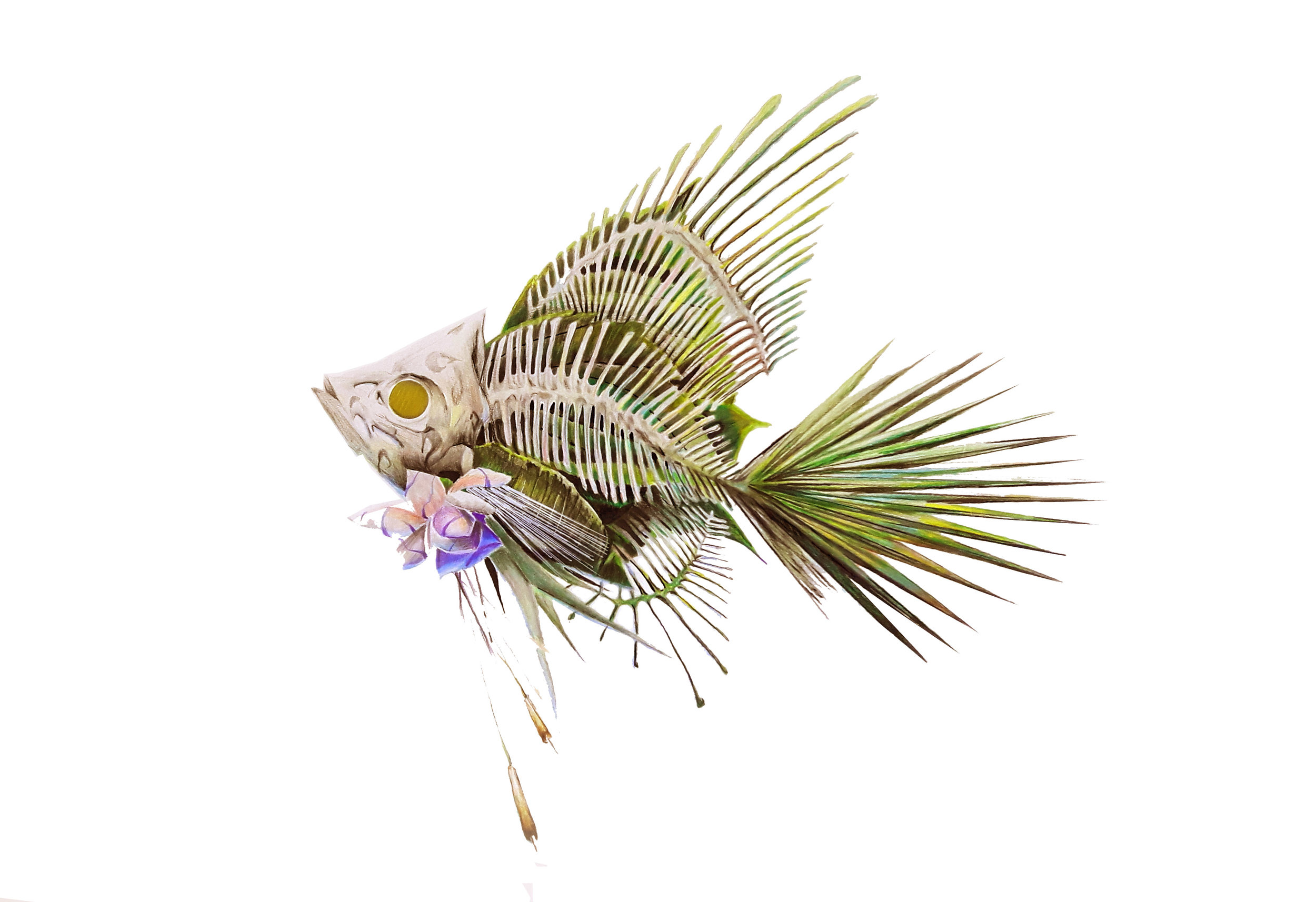 angelfish1.jpg