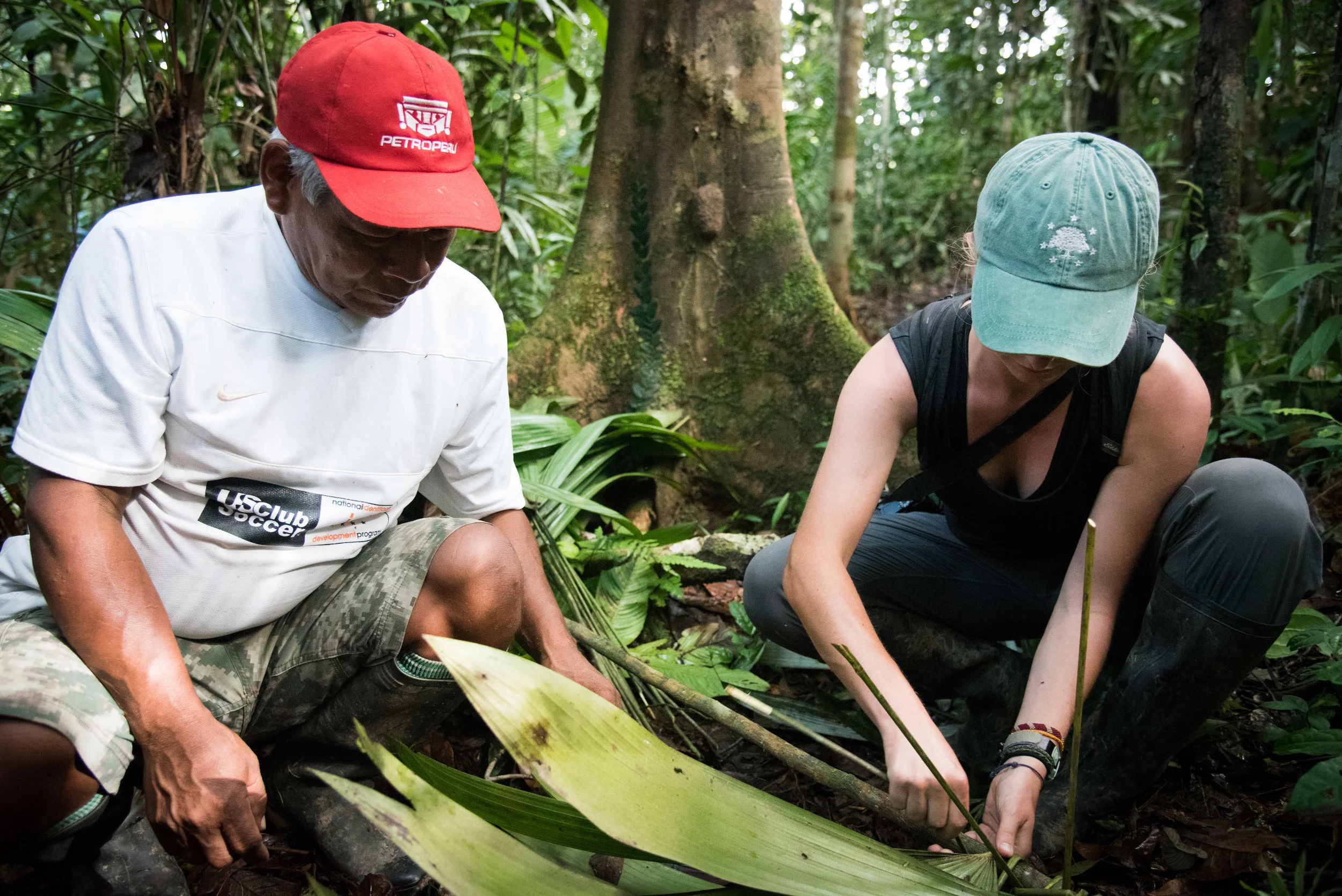 Photo: Brian Griffiths