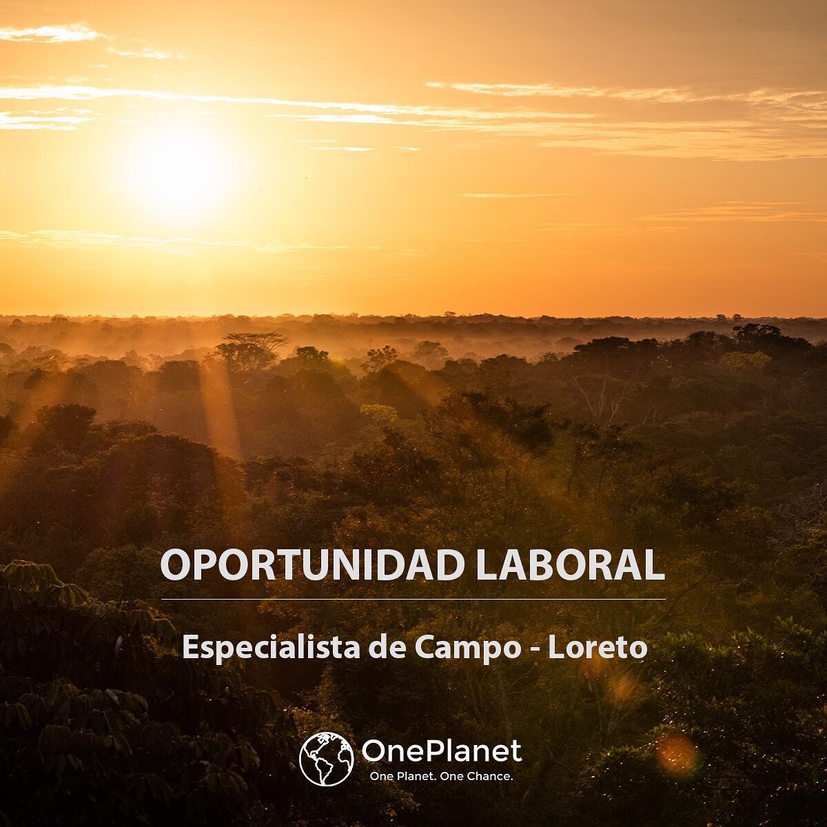 📣 #OportunidadLaboral | Estamos en b&uacute;squeda de un(a) Especialista de Campo para integrarse en el equipo de Loreto para trabajar con One Planet y el pueblo ind&iacute;gena Maijuna. Si est&aacute;s interesado/a o conoces a alguien que desea pos