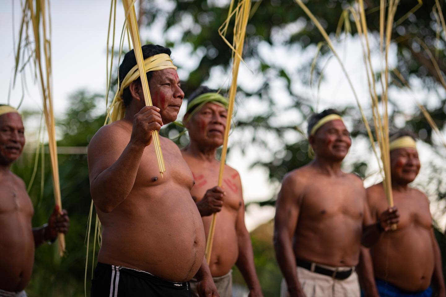 Maijuna elders gathering for the bee dance and chant, practiced for generations during the yuca harvest festival, inspired by mimicking stingless bees. &nbsp;
&nbsp;
OnePlanet&rsquo;s mission is to support the Maijuna in their goals of biocultural co