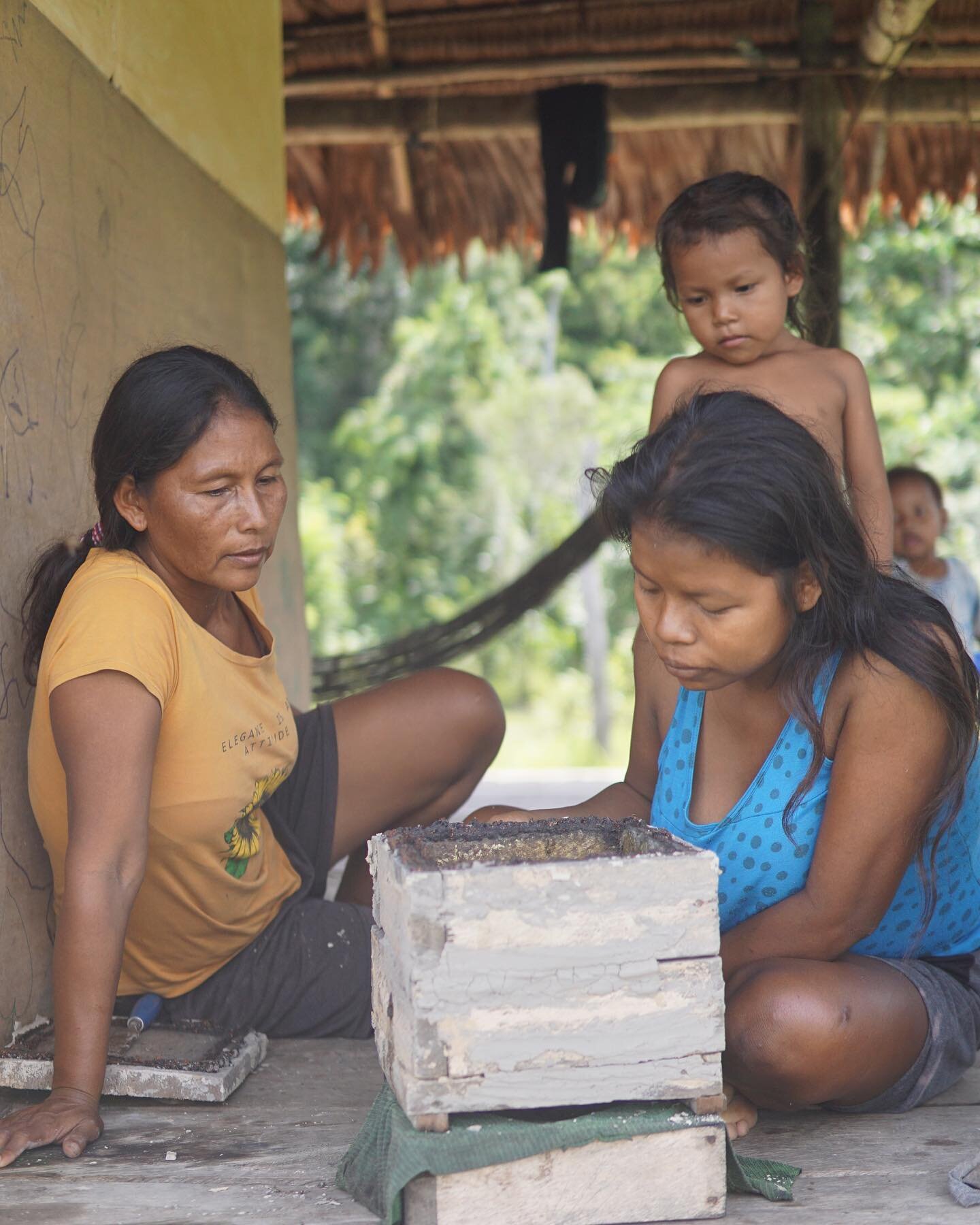 Espa&ntilde;ol abajo - - - 

The past two weeks, we caught up with our stingless beekeeping educators! Here&rsquo;s what they&rsquo;ve been up to:

Photo 1: Tarkis (Puerto Hu&aacute;man) reviewing established bee populations with neighbors.&nbsp;

Ph