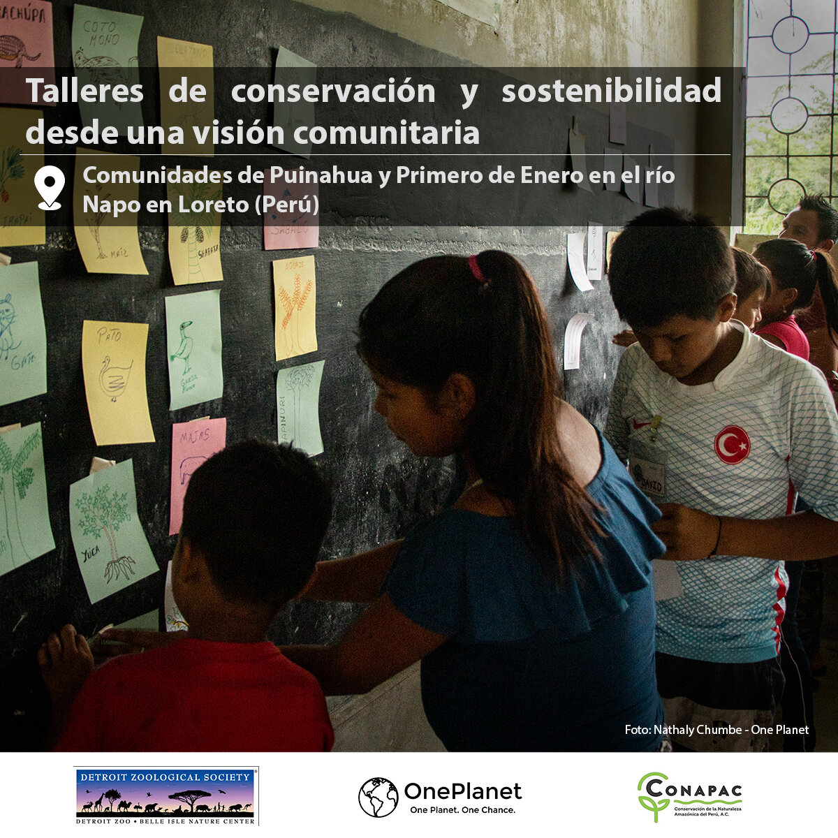 Moments from conservation and sustainability workshops, in partnership with @conapacperu , centered on a community perspective in the communities of Puinahua and Primero de Enero on the Napo River in Loreto (Peru) 🌱
____

Momentos de los talleres de