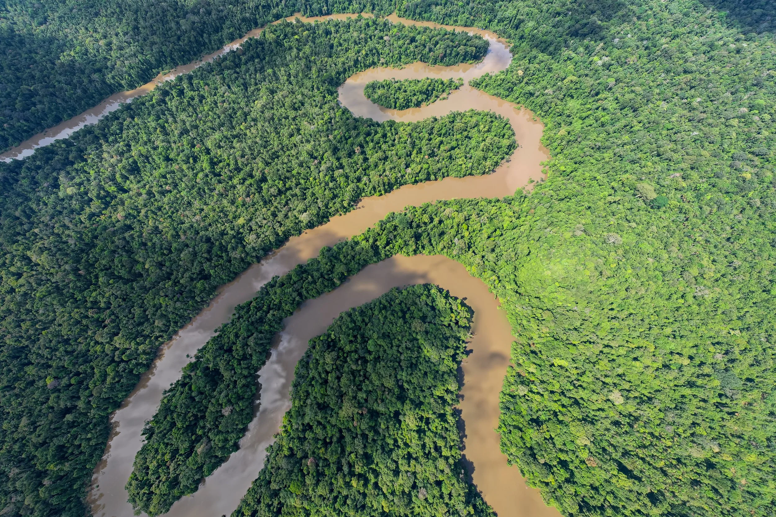Aerial view of a river winding through a dense green forest in a lush landscape in the Amazon