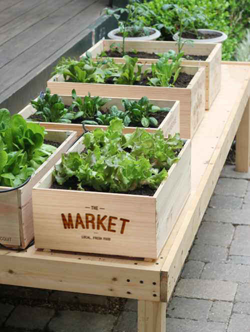 Vegetable Crate Wood Burn.png