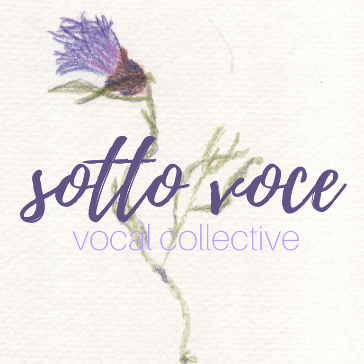 29131-sottovocelogo-364x364.png