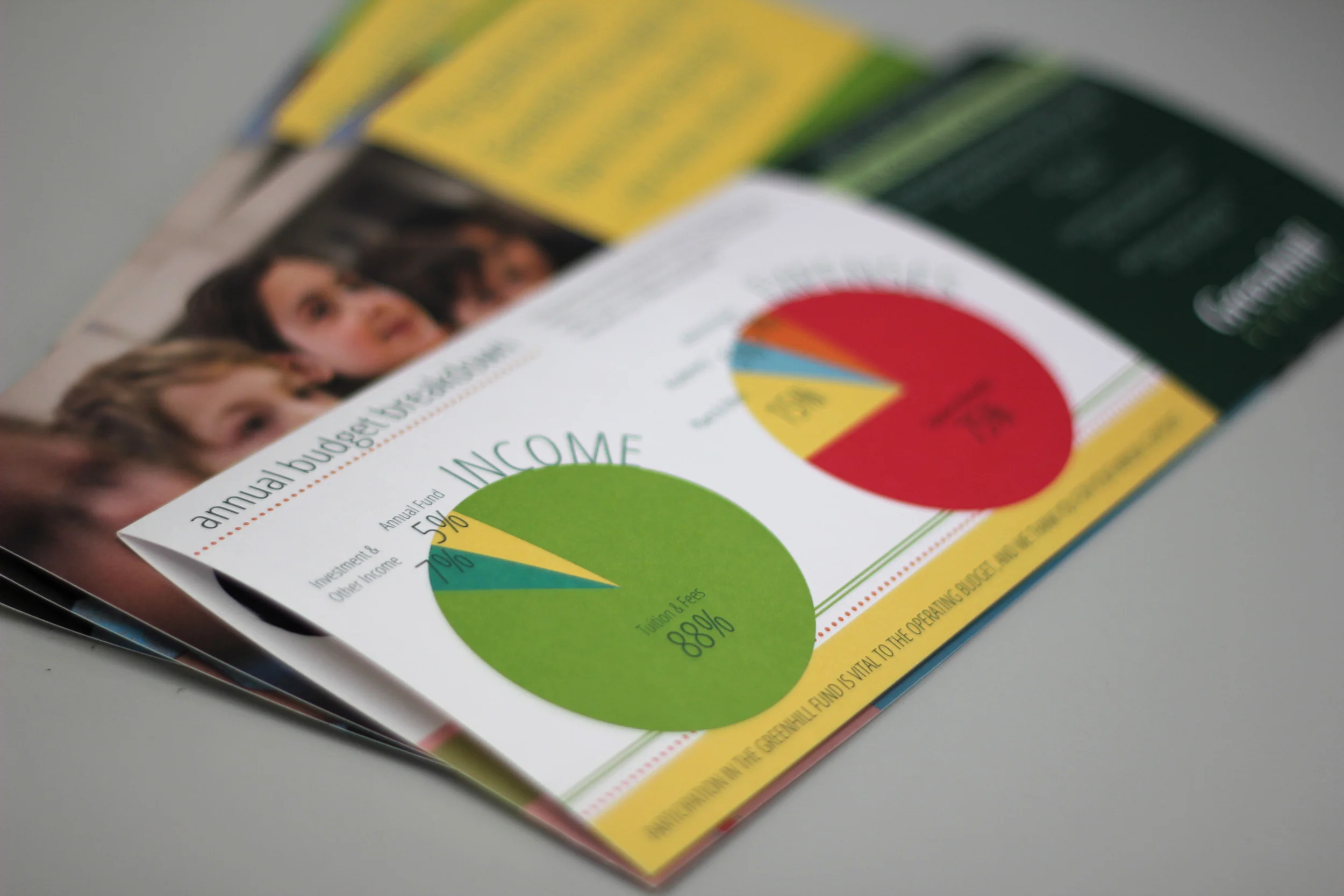 Gratitude themed appeal  |  2015