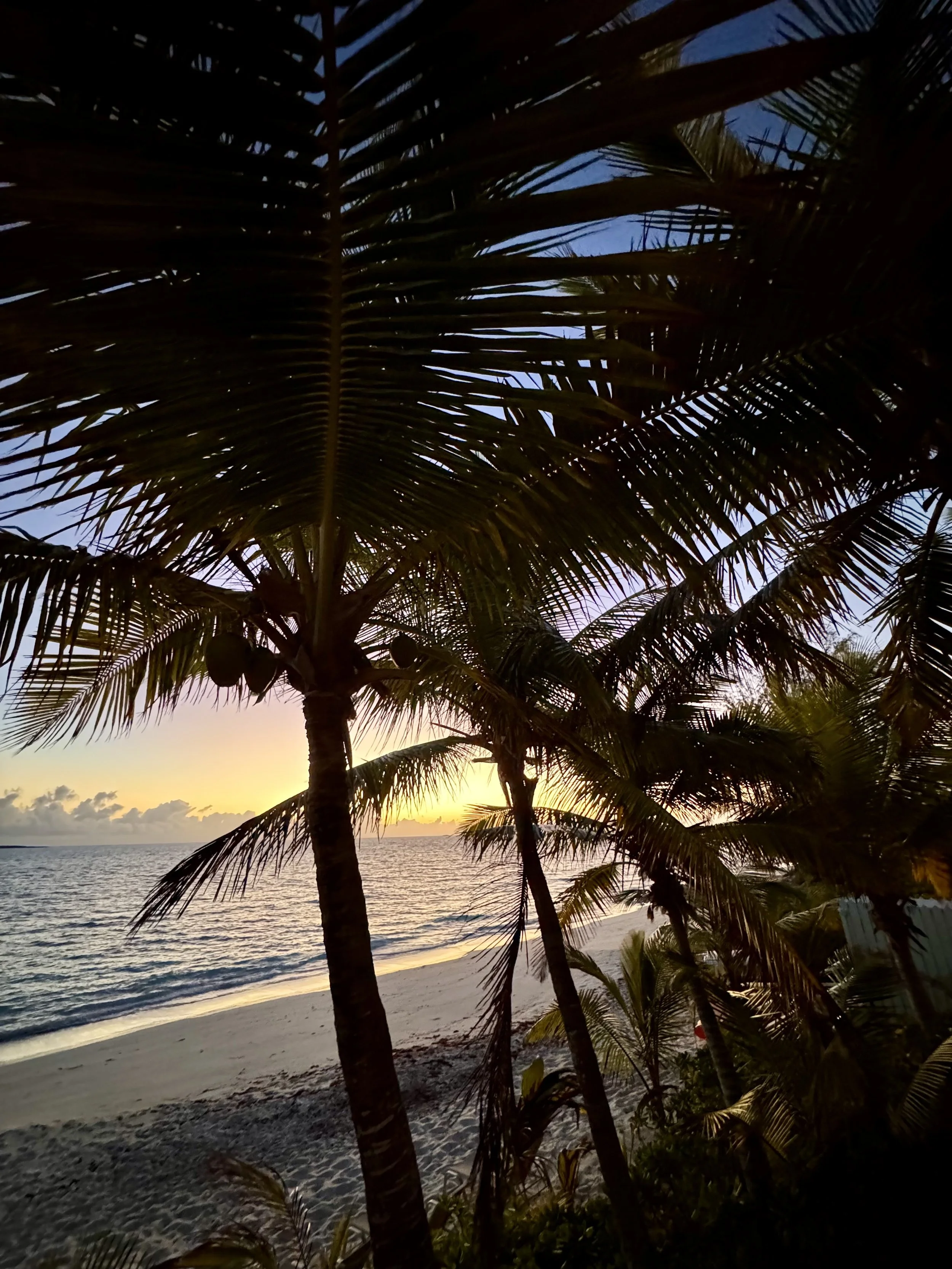 a much needed vacation