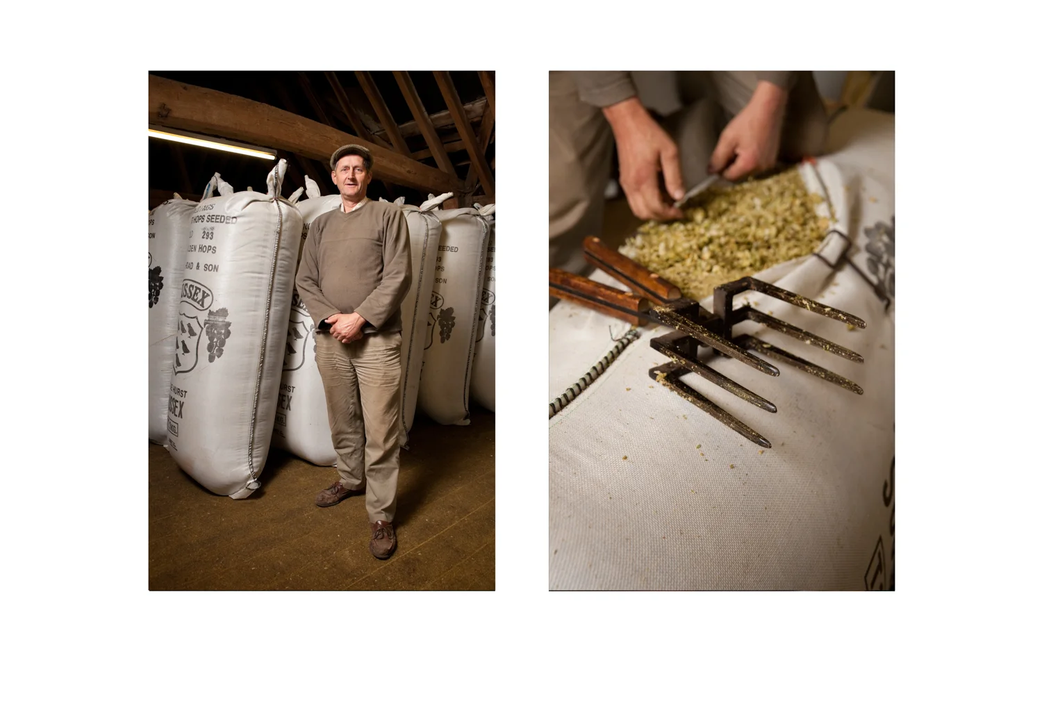 Andrew Hoad, Hop Farmer