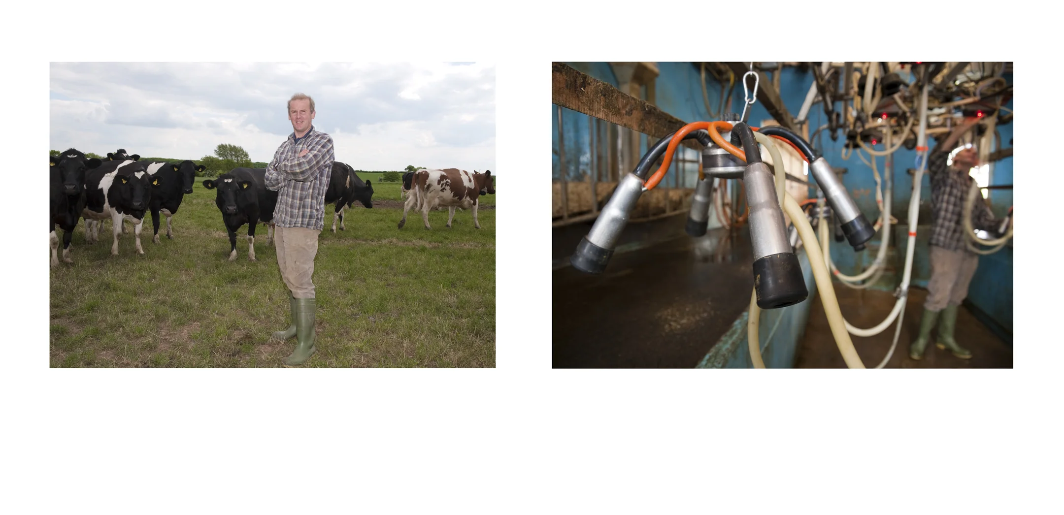 Chris Johnson, Dairy Farmer, Johnson's Farm, Ossington, Nottinghamshire.