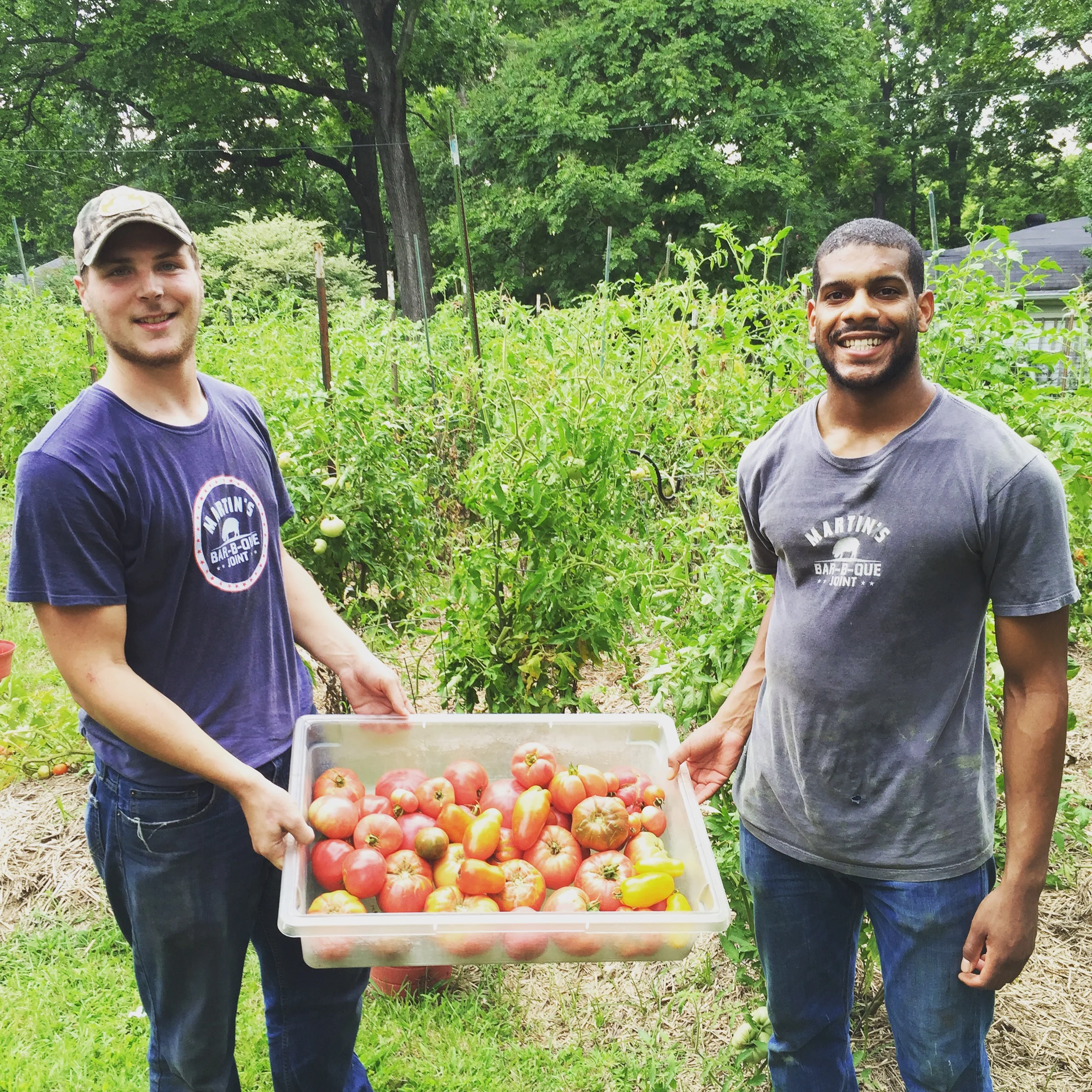 The Martin's crew swings by Pat's house to get fresh tomatoes for the restaurants. 