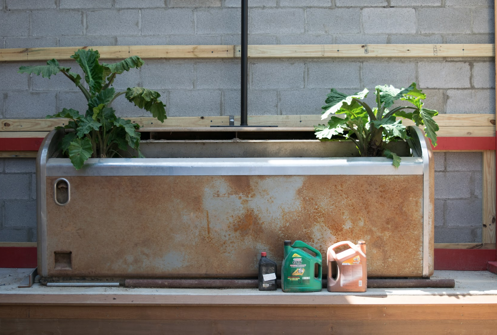 Even old drink coolers can be turned into planters!