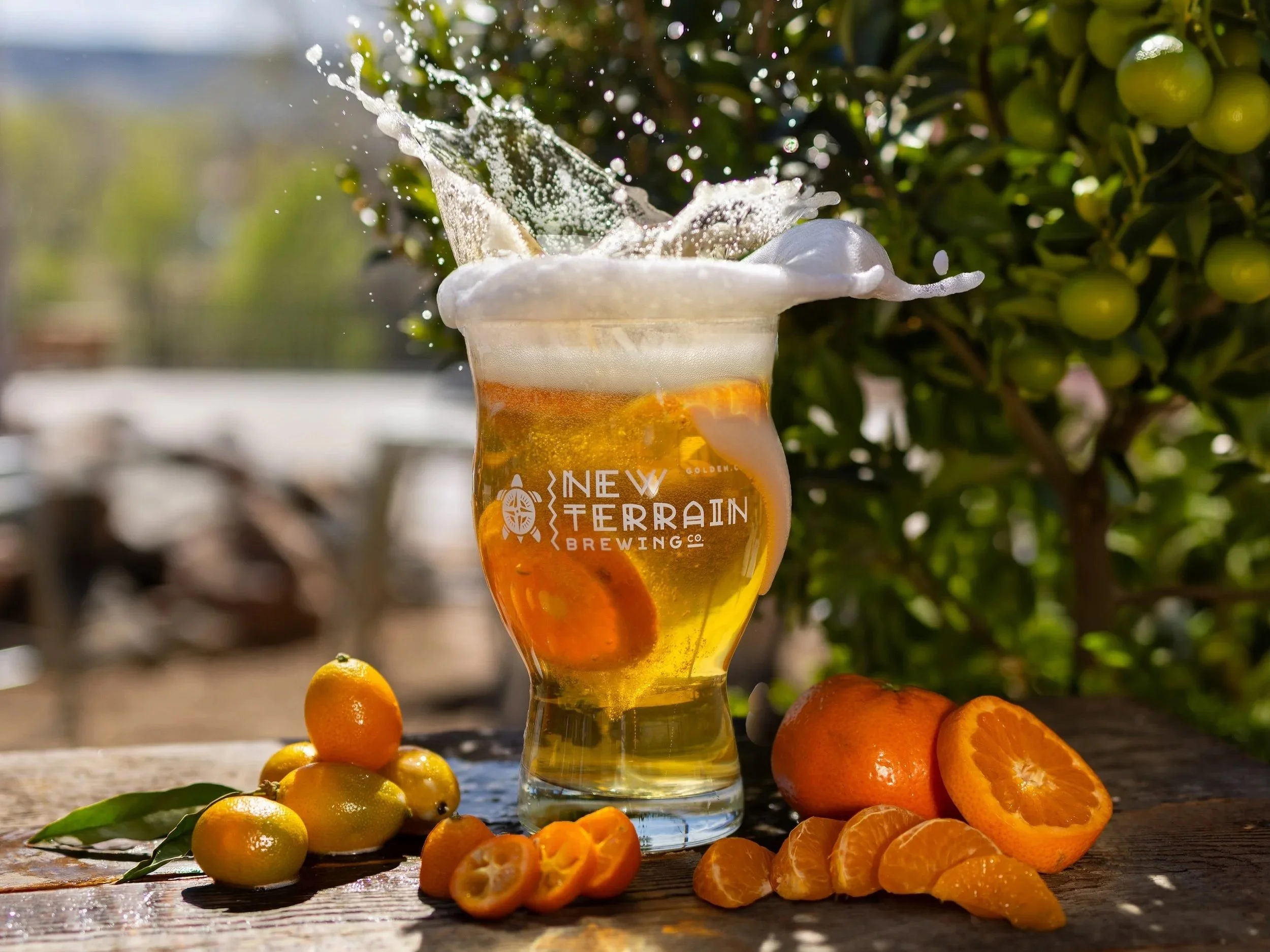 Calamansi Groove, Cream Ale, Beer, Citrus, Fruit