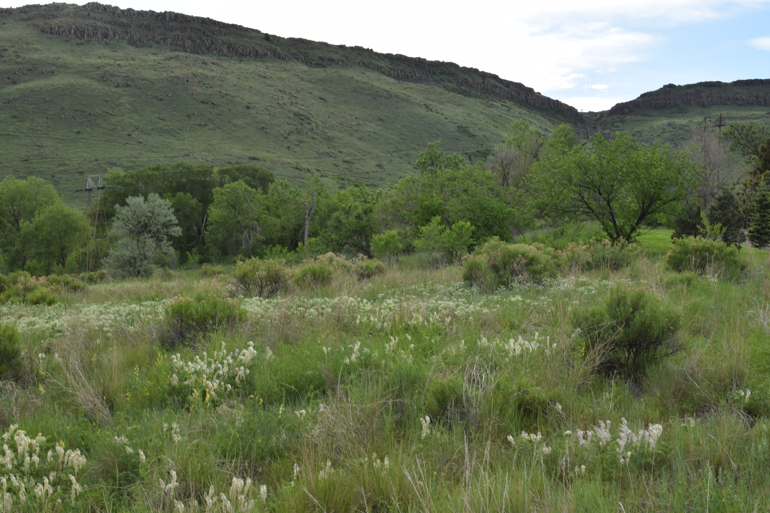 New Terrain (July 2015)