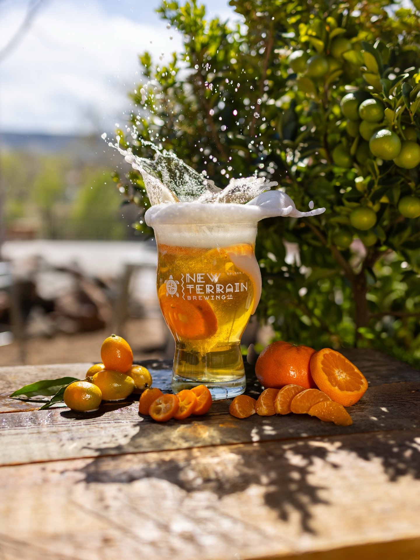 🍊🍋&zwj;🟩Calamansi Groove - Cream Ale w/ Calamansi Fruit🍋&zwj;🟩🍊

Our latest release in the Groove Series is a bright, easy-drinking Cream Ale layered with calamansi - a hybrid of kumquat and mandarin orange that brings a splash of zesty lime ch