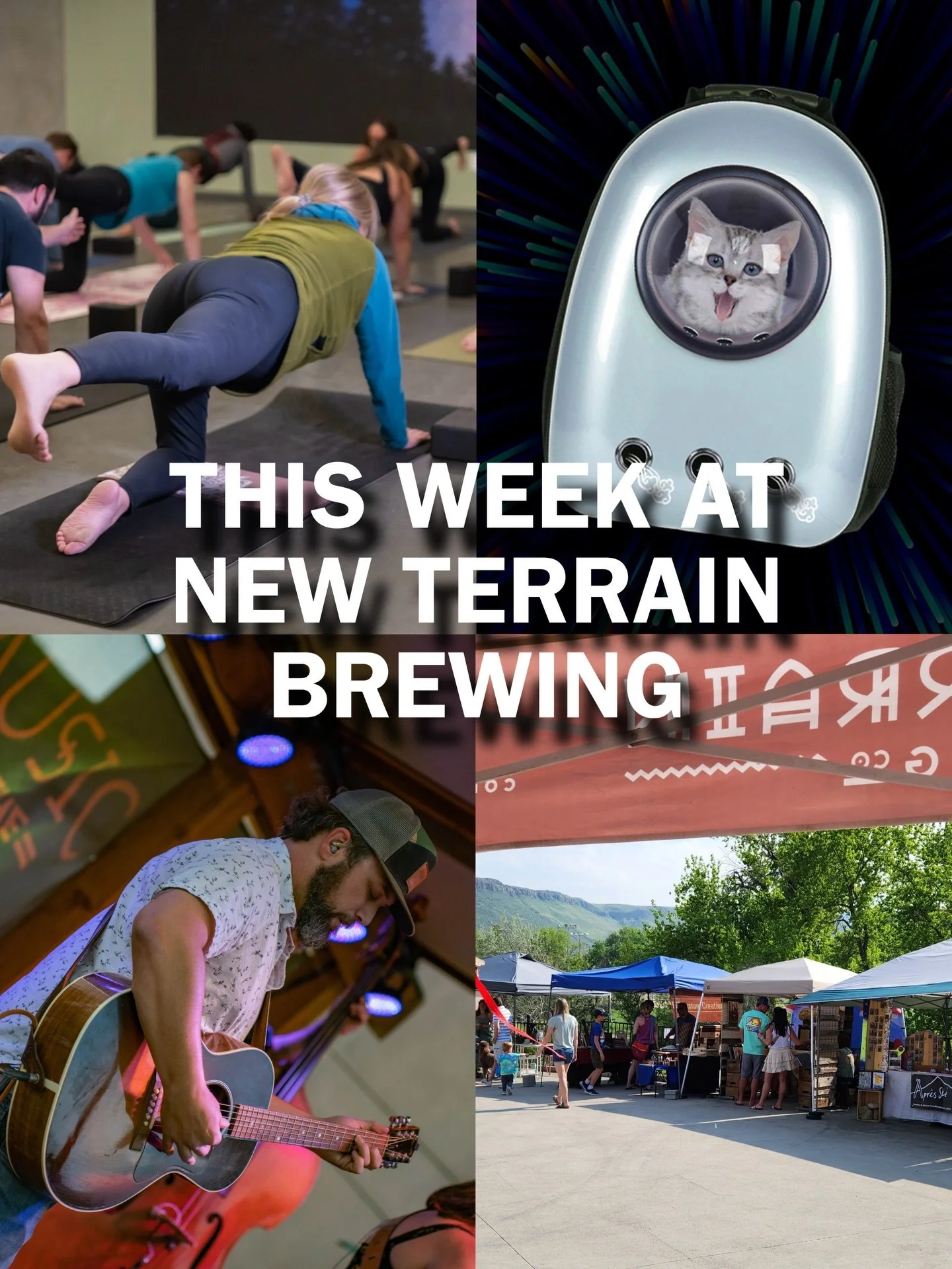This week is full of great events here at New Terrain Brewing!

🧘 Monday, 4/20, 6-7pm - Yoga on Tap

😻 Tuesday, 4/21, 5-8pm - Cat Takeover VI

🪕 Thursday, 4/23, 6-9pm - @BrandywineAndTheMightyFines

🛍️ Sunday, 4/26, 11am-5pm - Spring Market

For 
