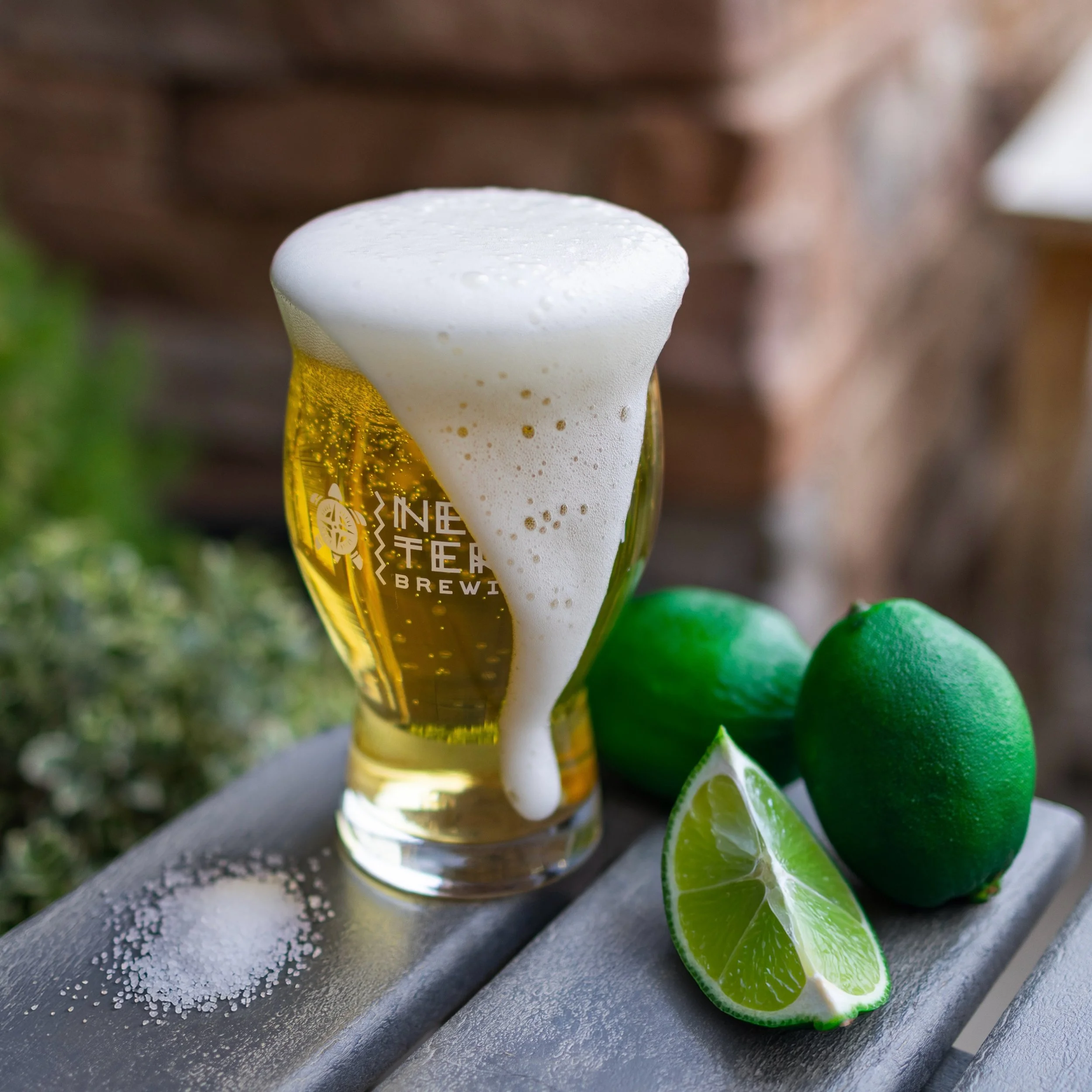🧂🍋&zwj;🟩 Salt &amp; Lime N&oacute;mada - Mexican Lager w/ Salt &amp; Lime 🍋&zwj;🟩🧂

Salt &amp; Lime N&oacute;mada is a vibrant &amp; refreshing twist on our Mexican Lager, crafted for ultimate easy-going drinkability. Light-bodied and zesty, it